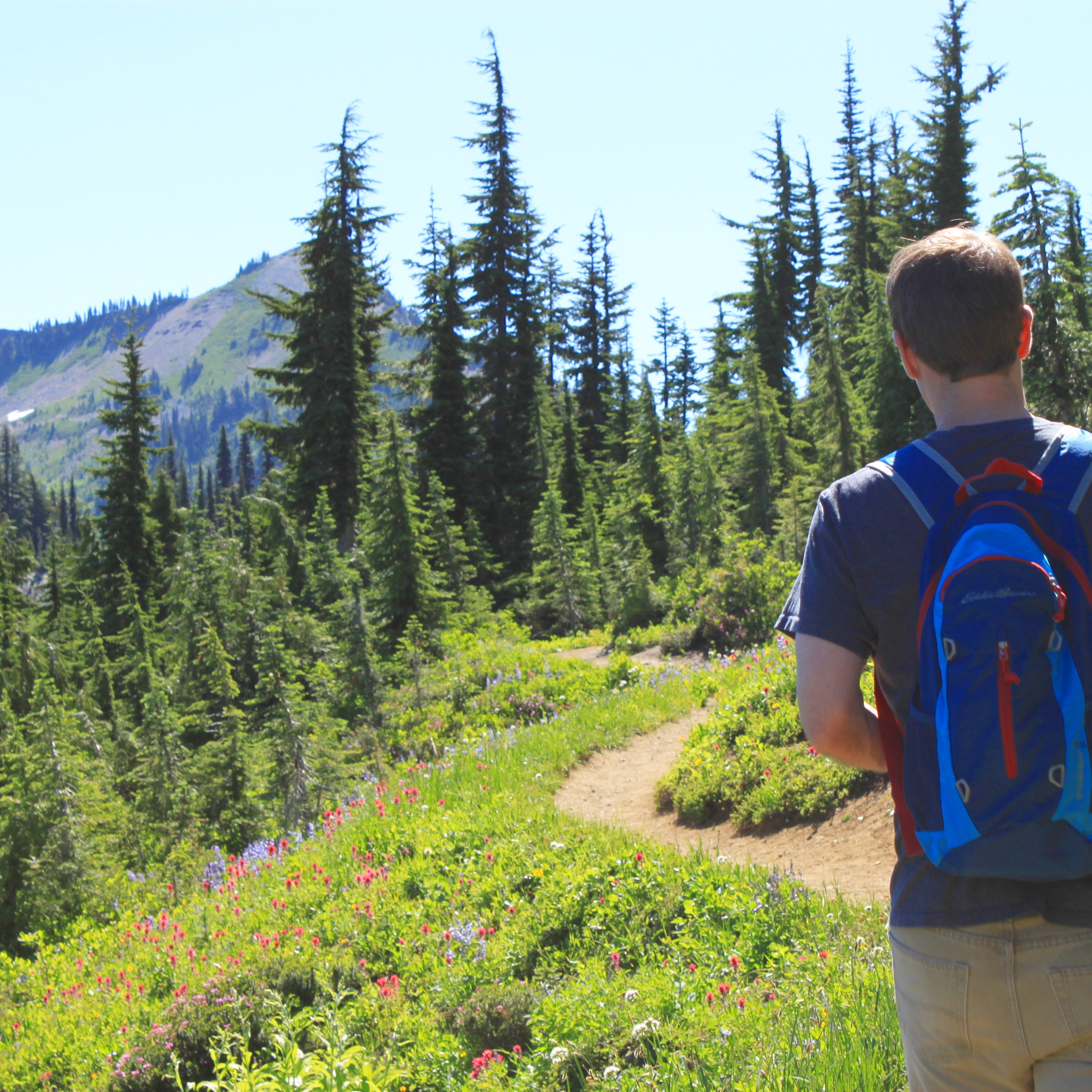 Naches Point Loop Trail Mt Rainier