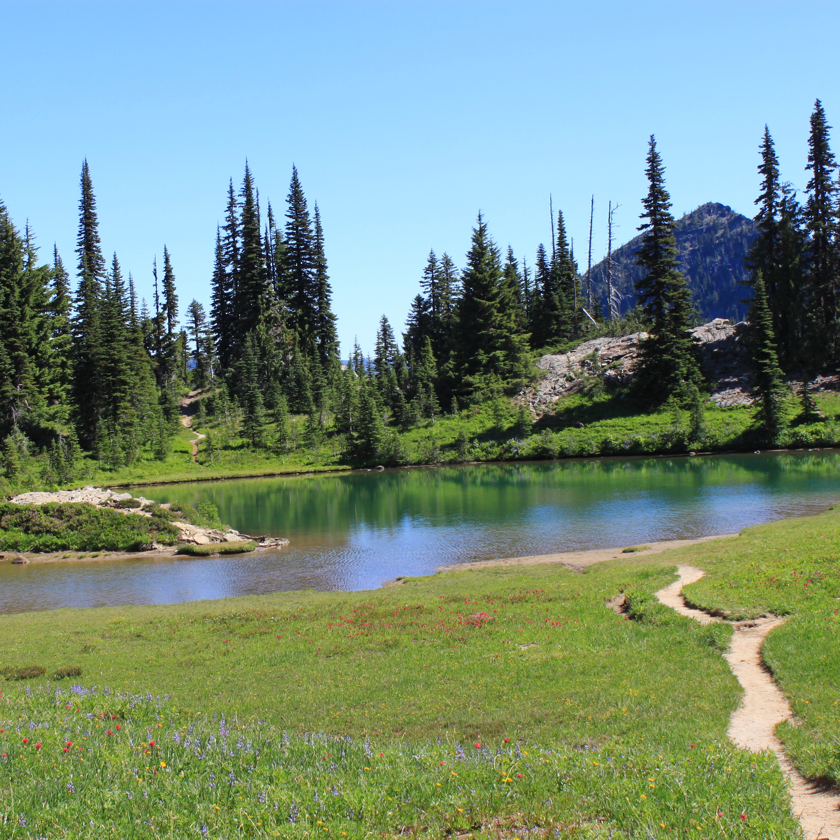 Surprise pond along the Naches Peak Loop