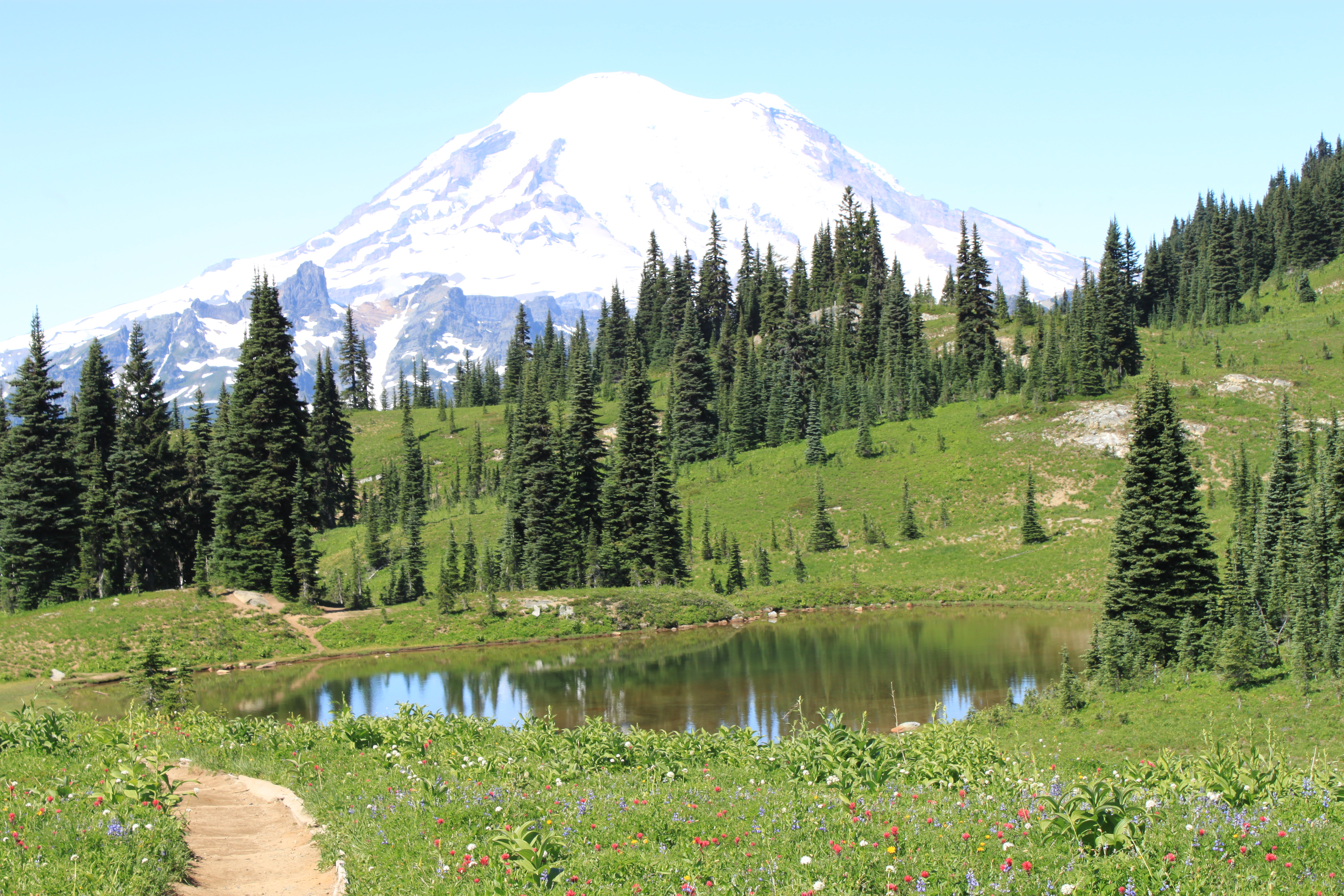 Mt. Rainier National Park