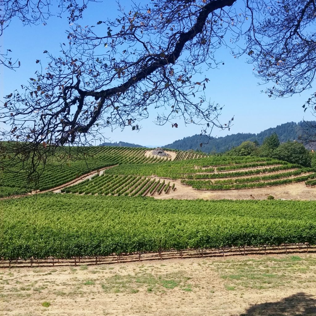 View at Pride Mountain Vineyards