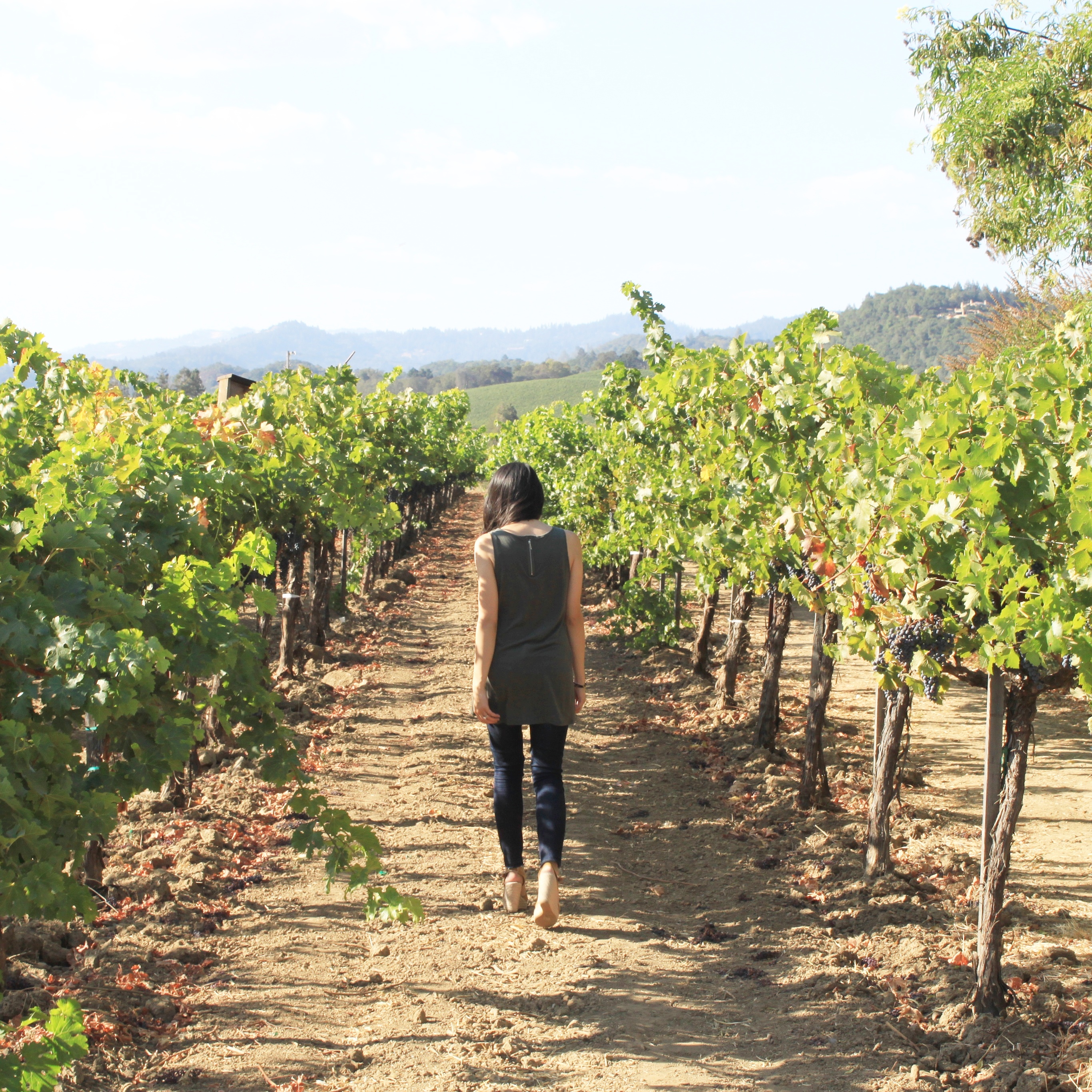 Self-Guided Wine Tour in Napa Valley