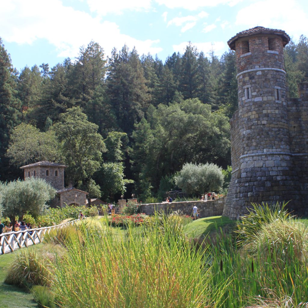 Views of Castello di Amorosa