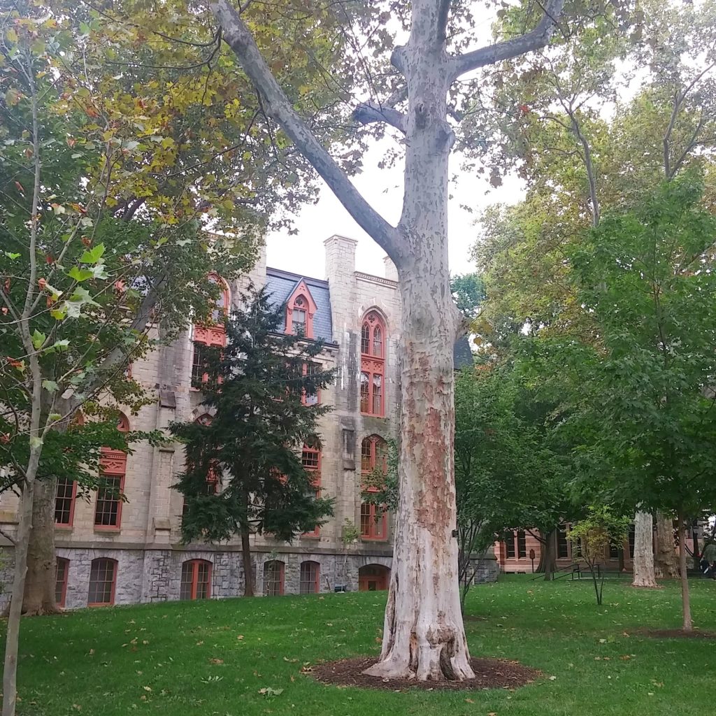 University of Pennsylvania