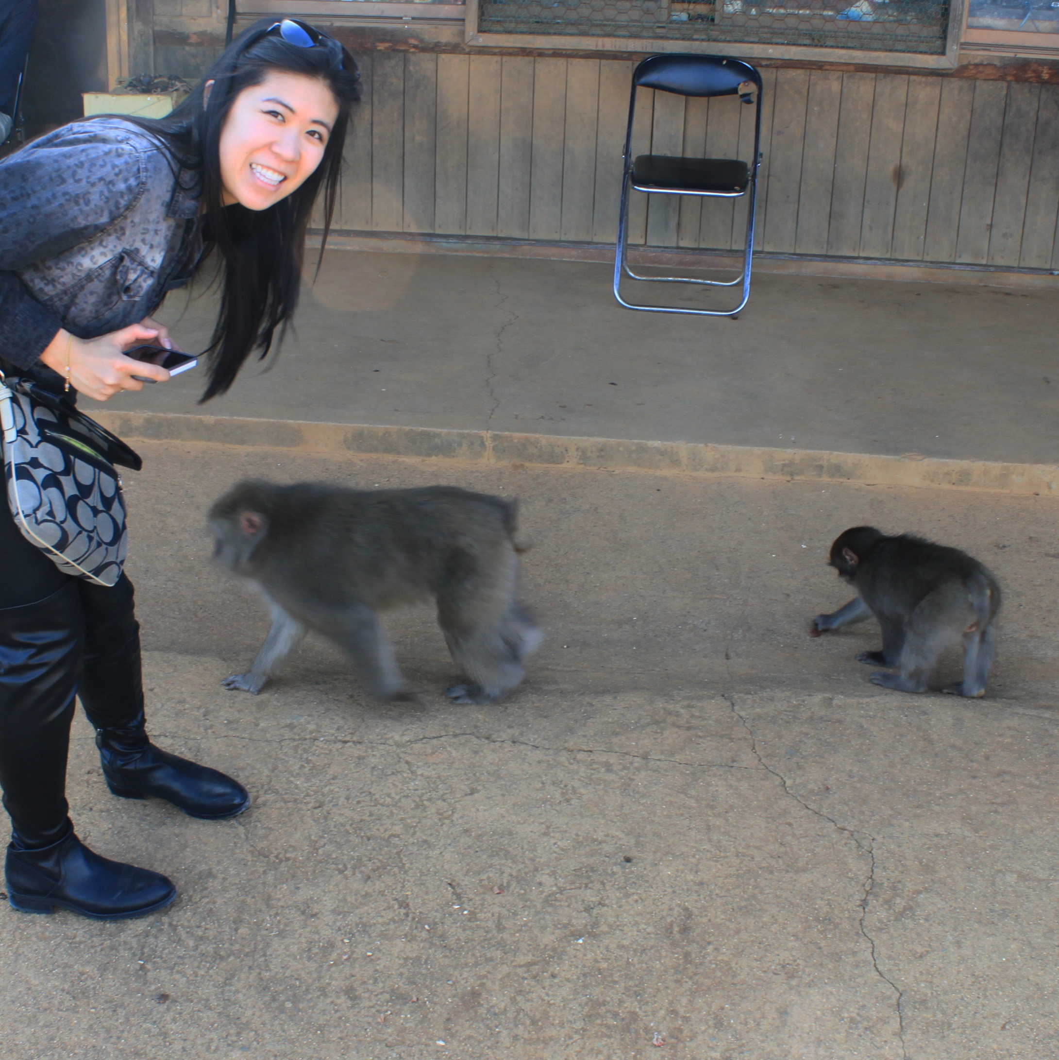 Arashiyama Monkey Park