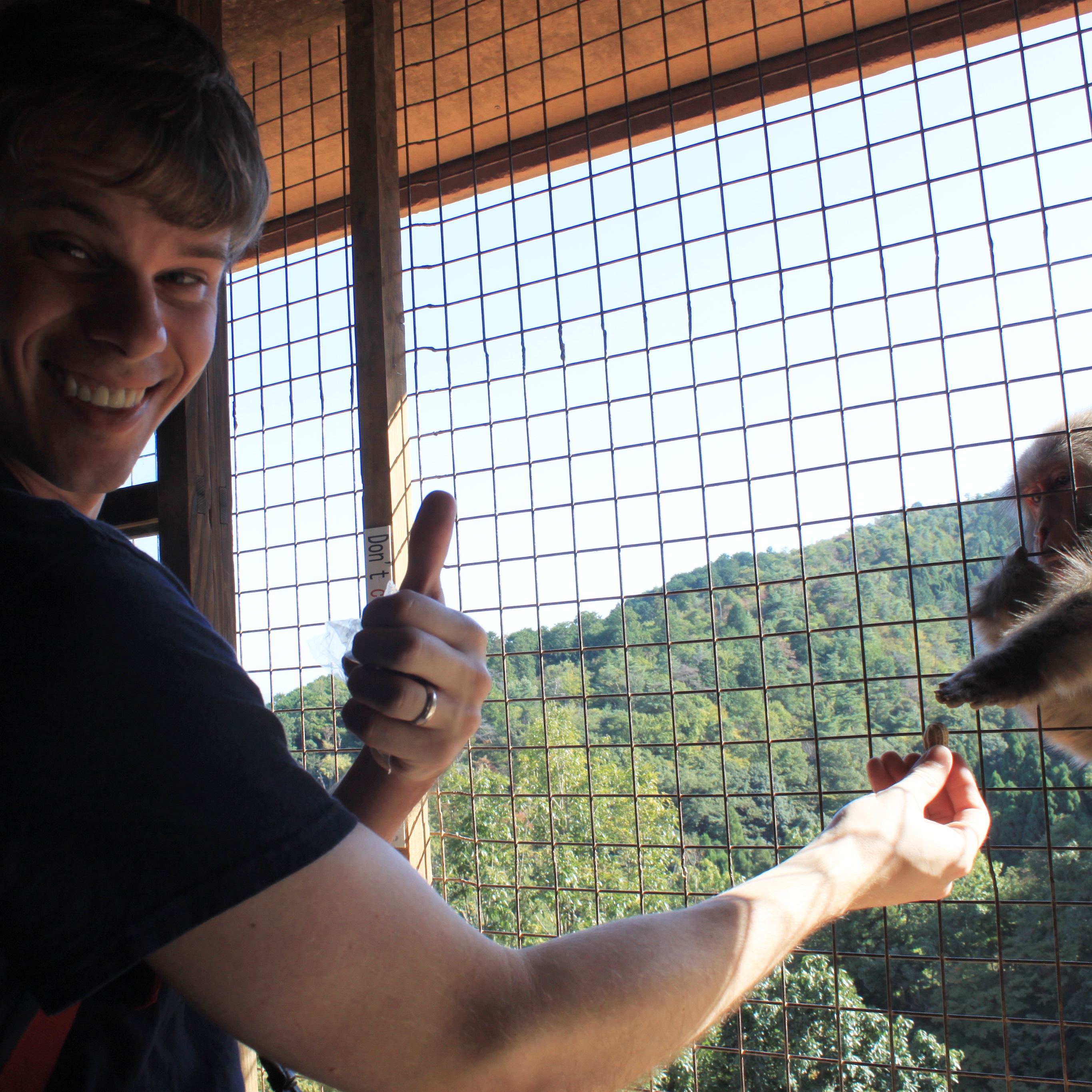 Arashiyama Monkey Park