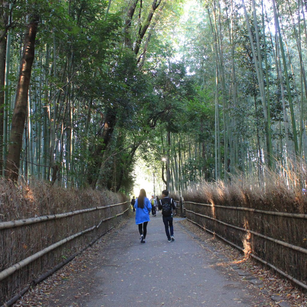 Arashiyama Bamboo Grove