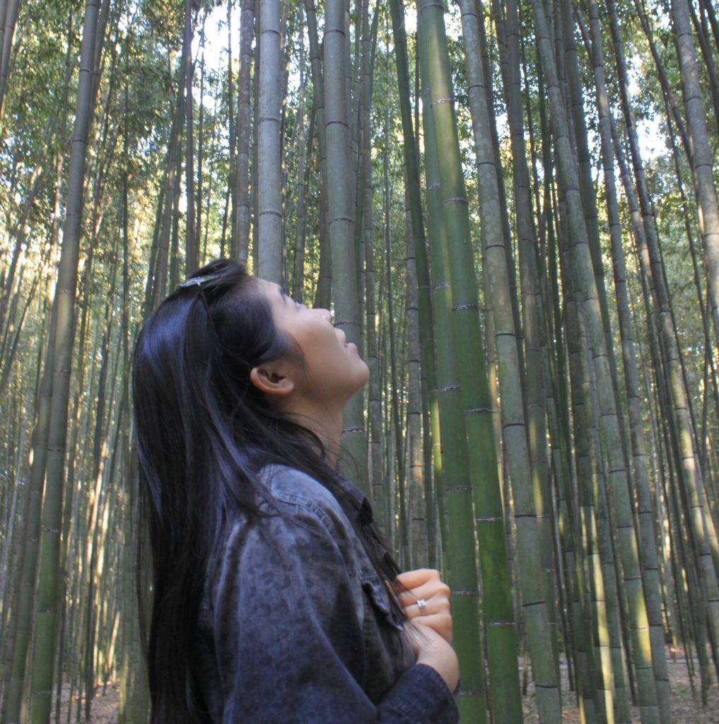 Arashiyama Bamboo Grove