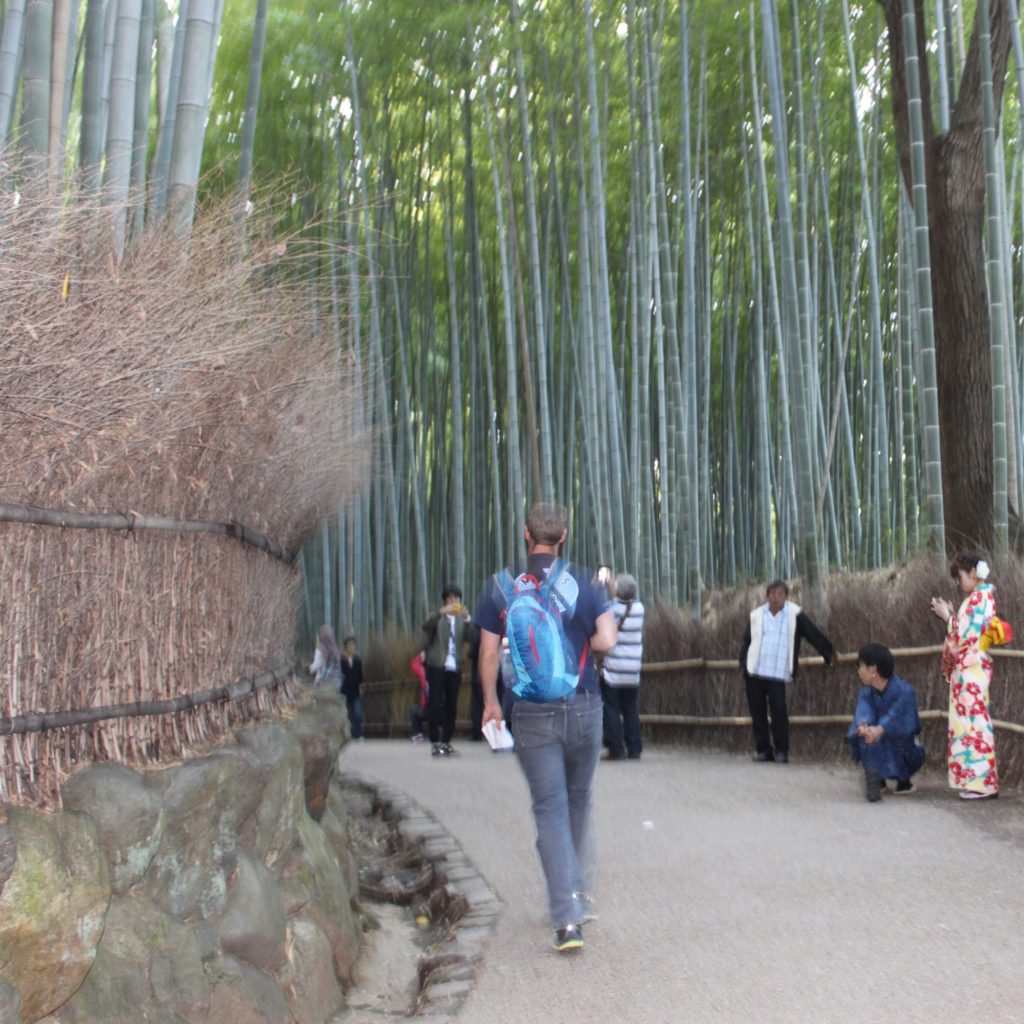 Arashiyama Bamboo Grove