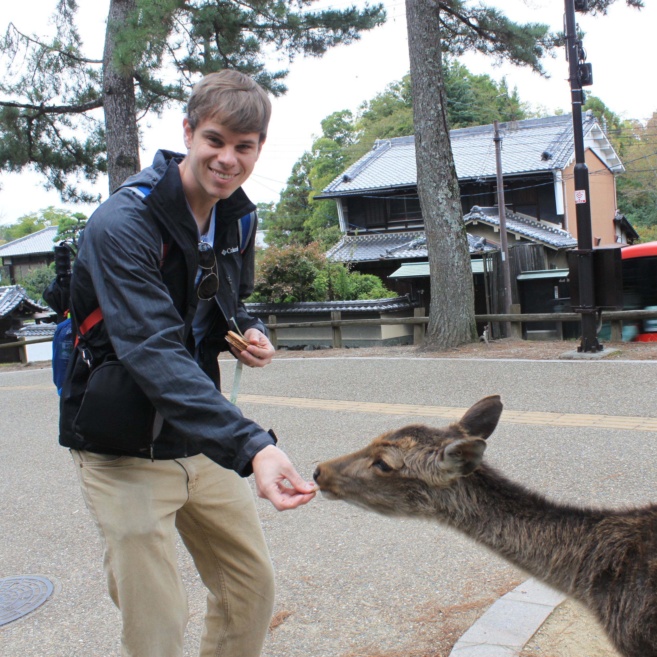 Nara Deer Park