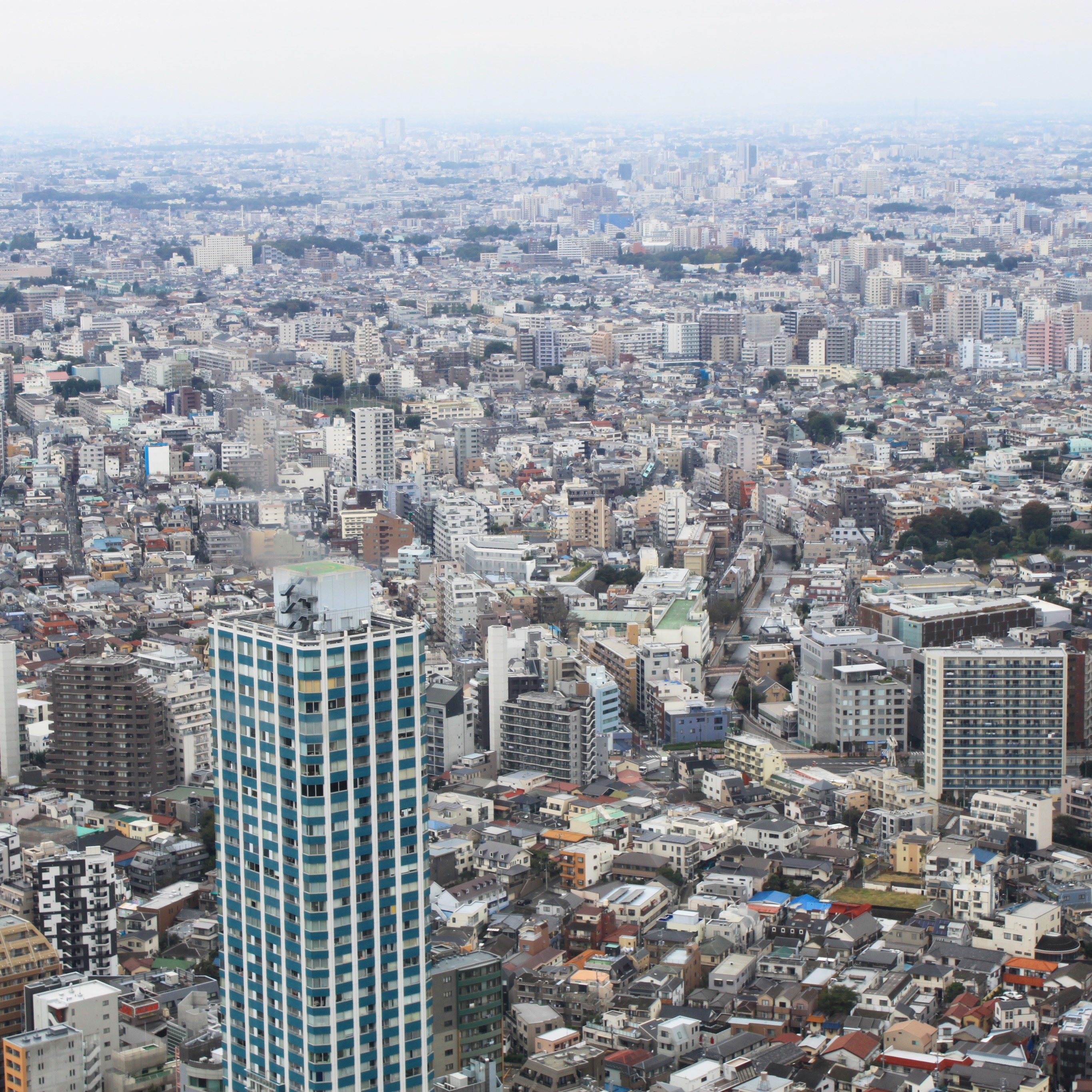 Views from the Tokyo Metropolitan Government Building
