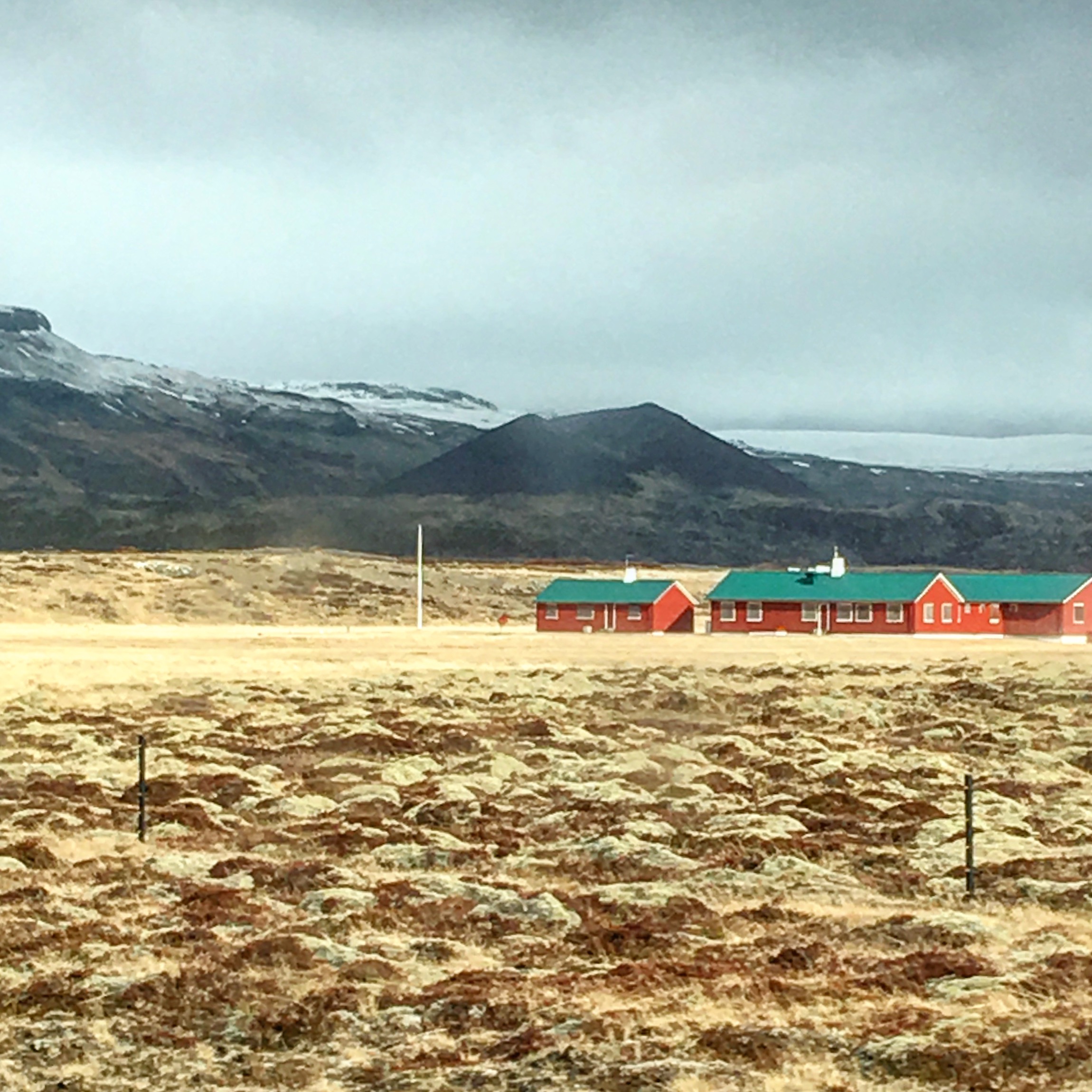 Colorful houses in Iceland