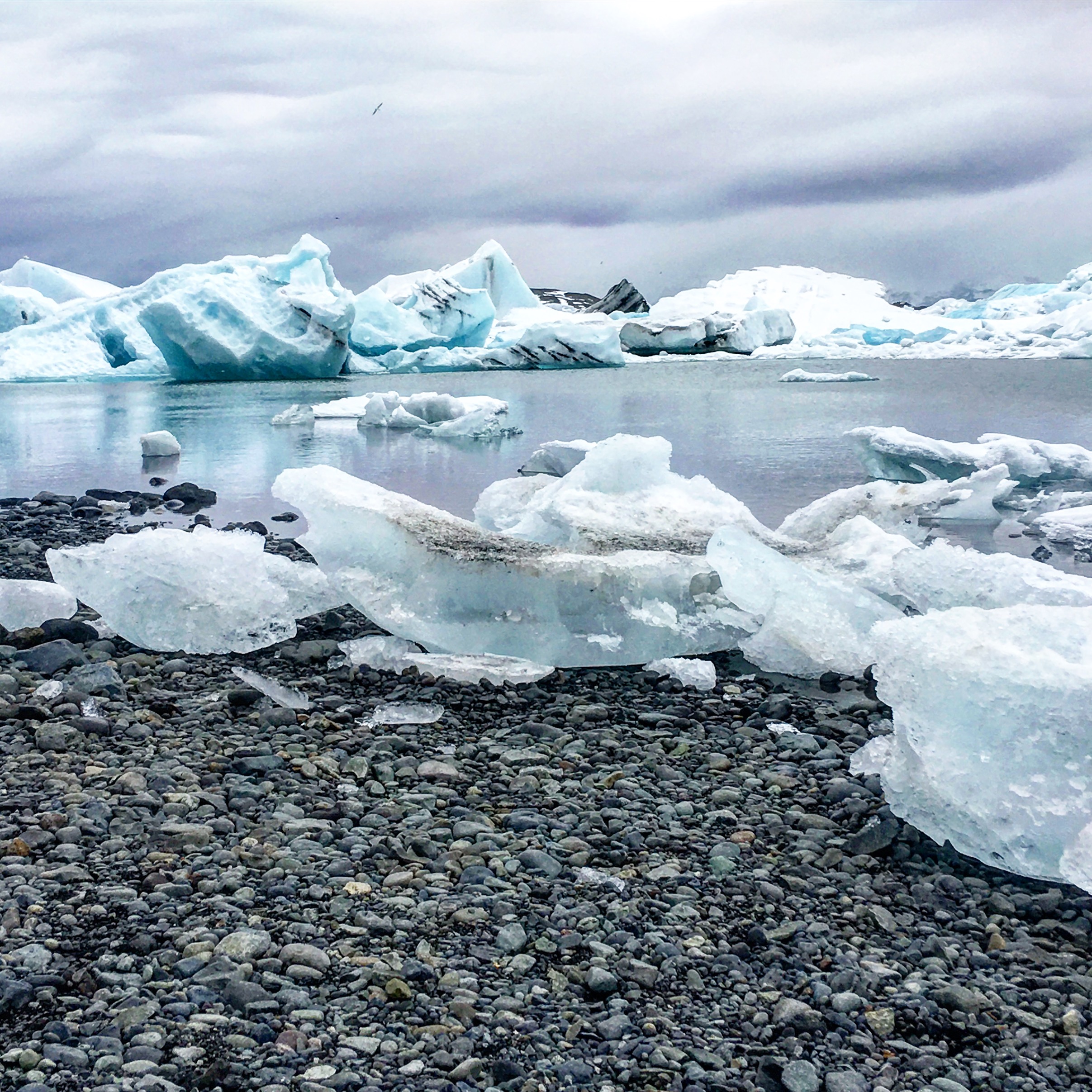 Jokulsarlon Glacier Lagoon