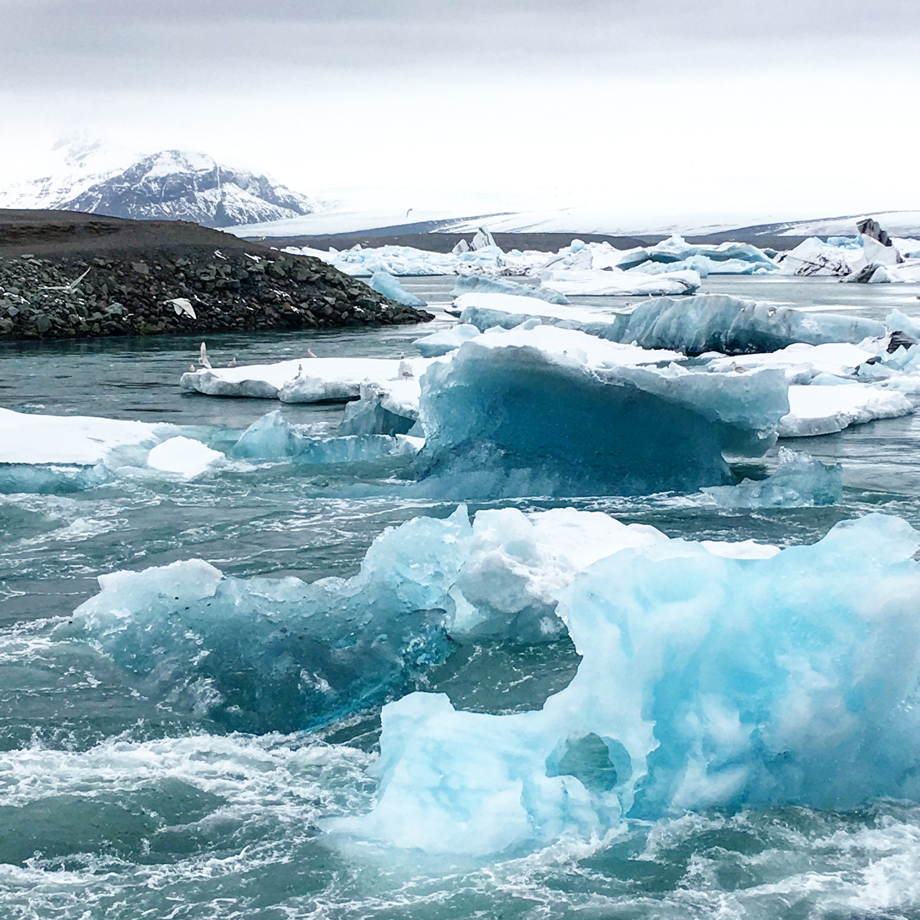 Jokulsarlon Glacier Lagoon