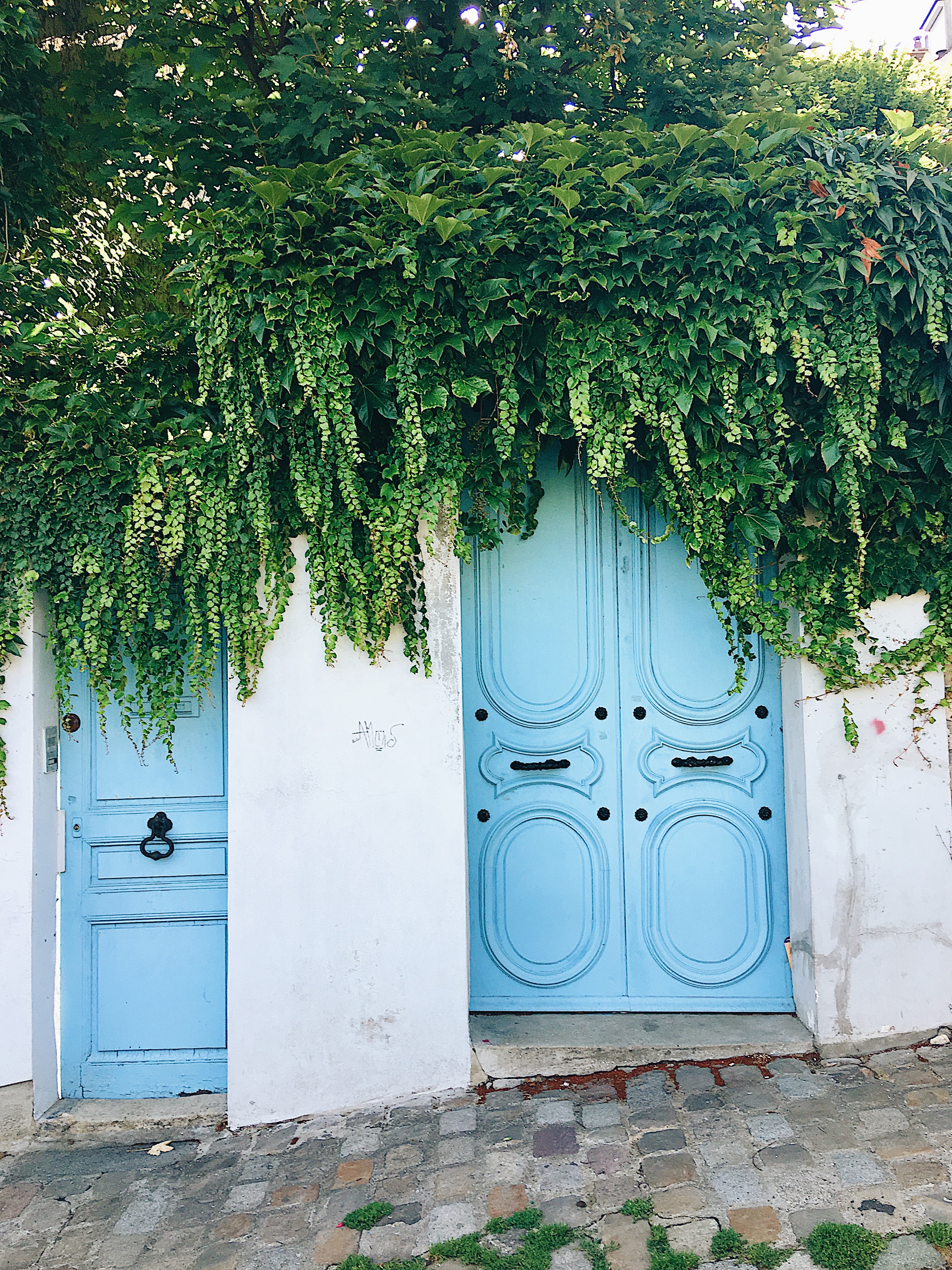 Doors of Montmartre Paris