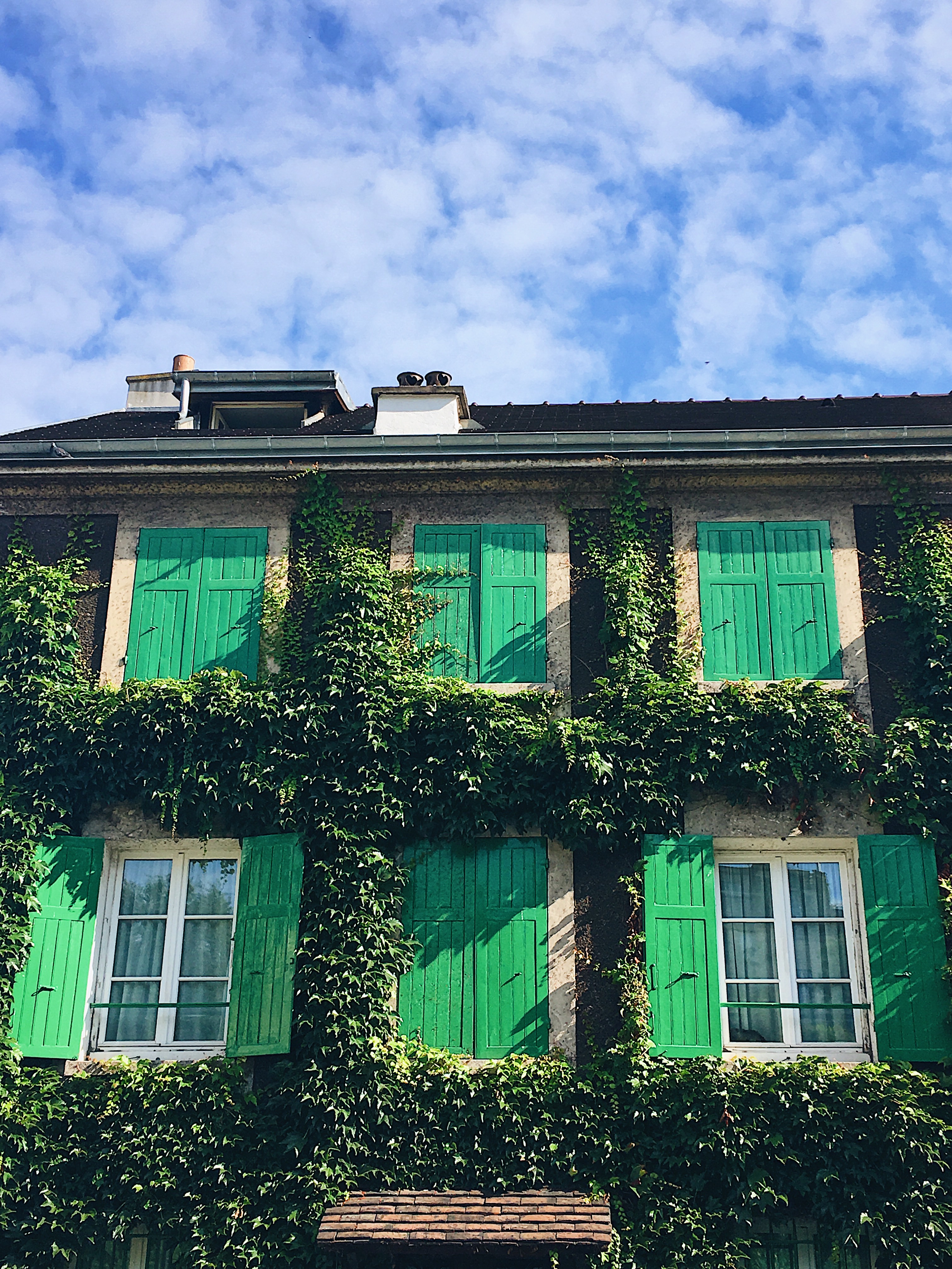 Plant problem charming house in Montmartre