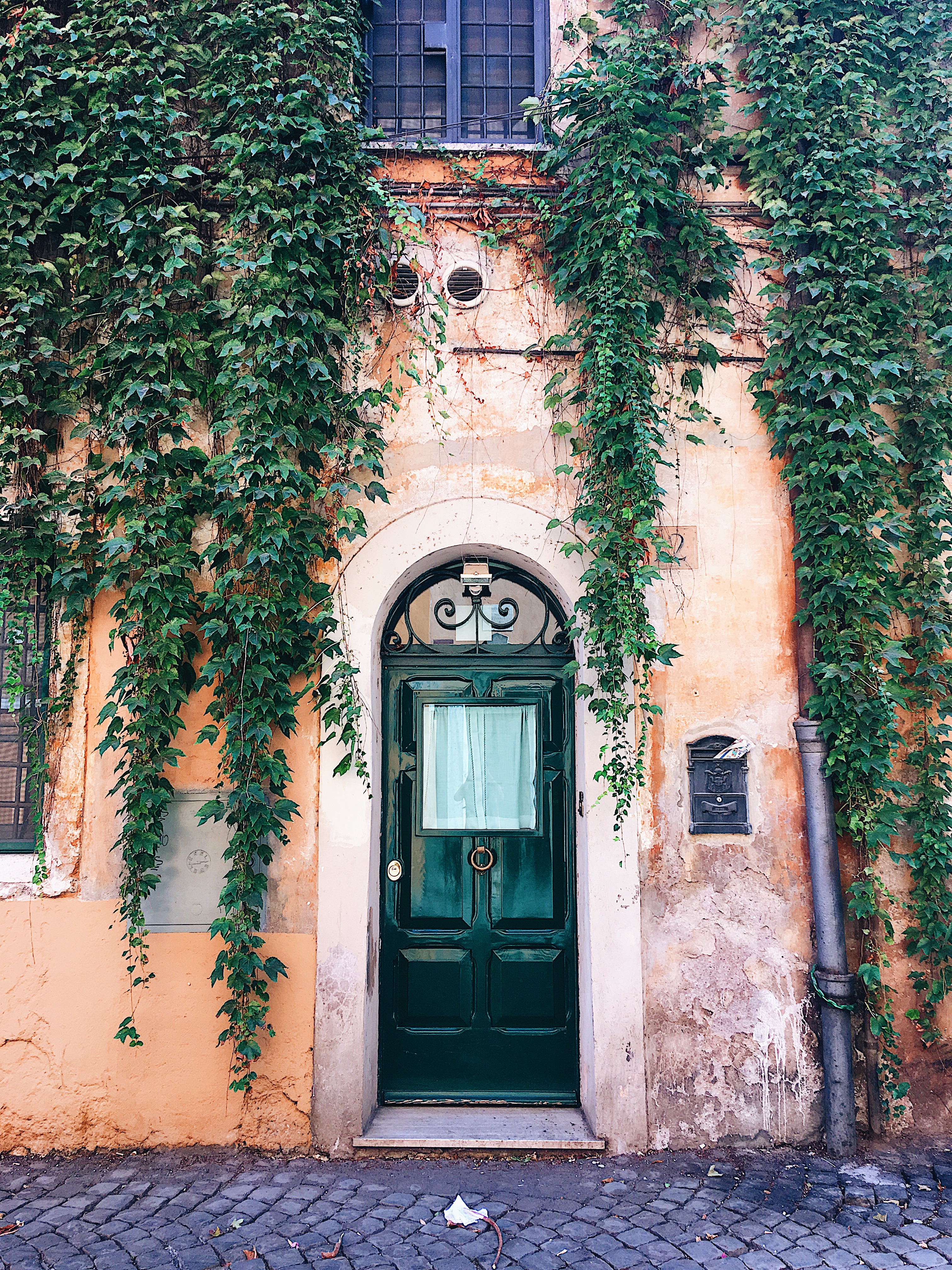 Draping Vines in Rome