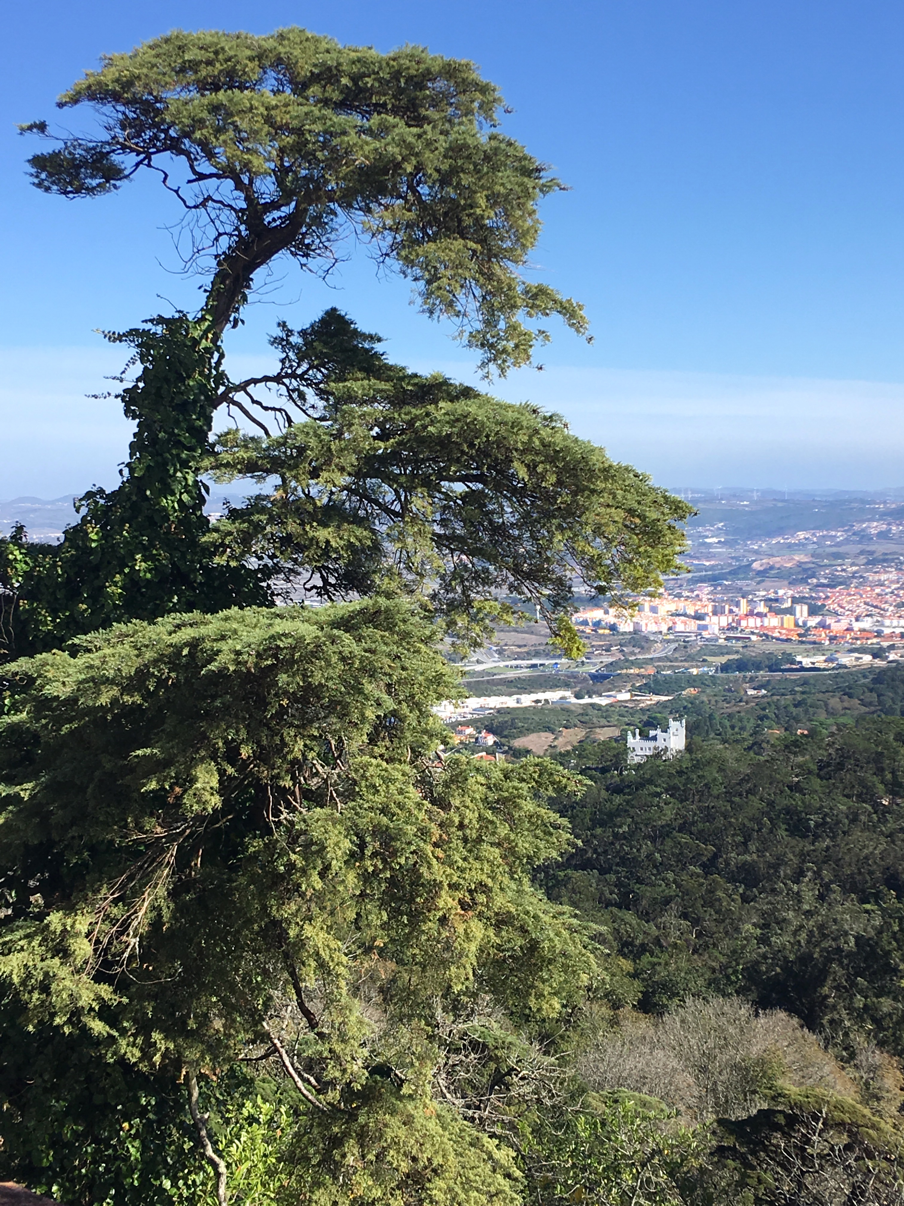 Views of Sintra from the top