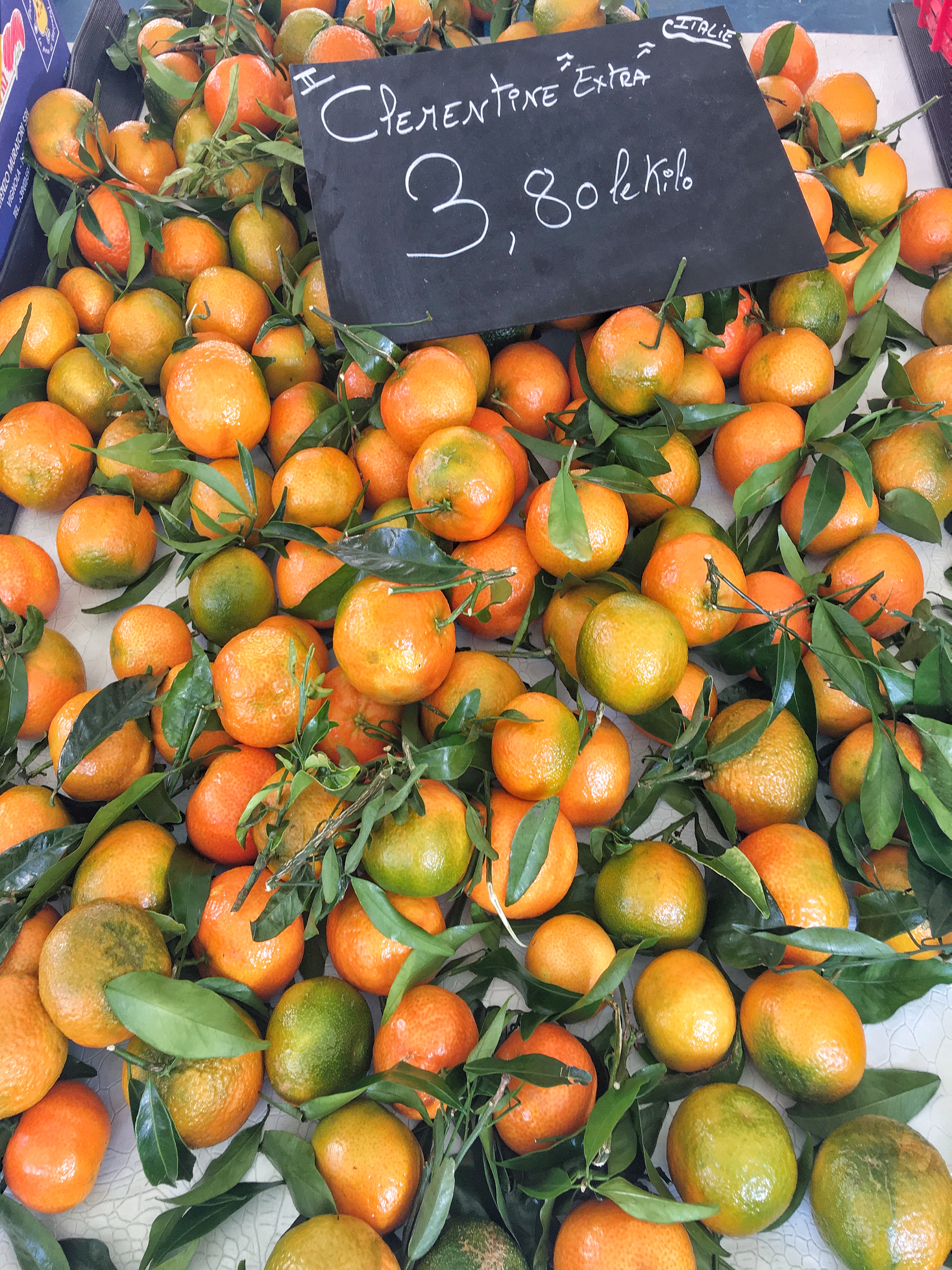 Oranges at the Flower Market Nice