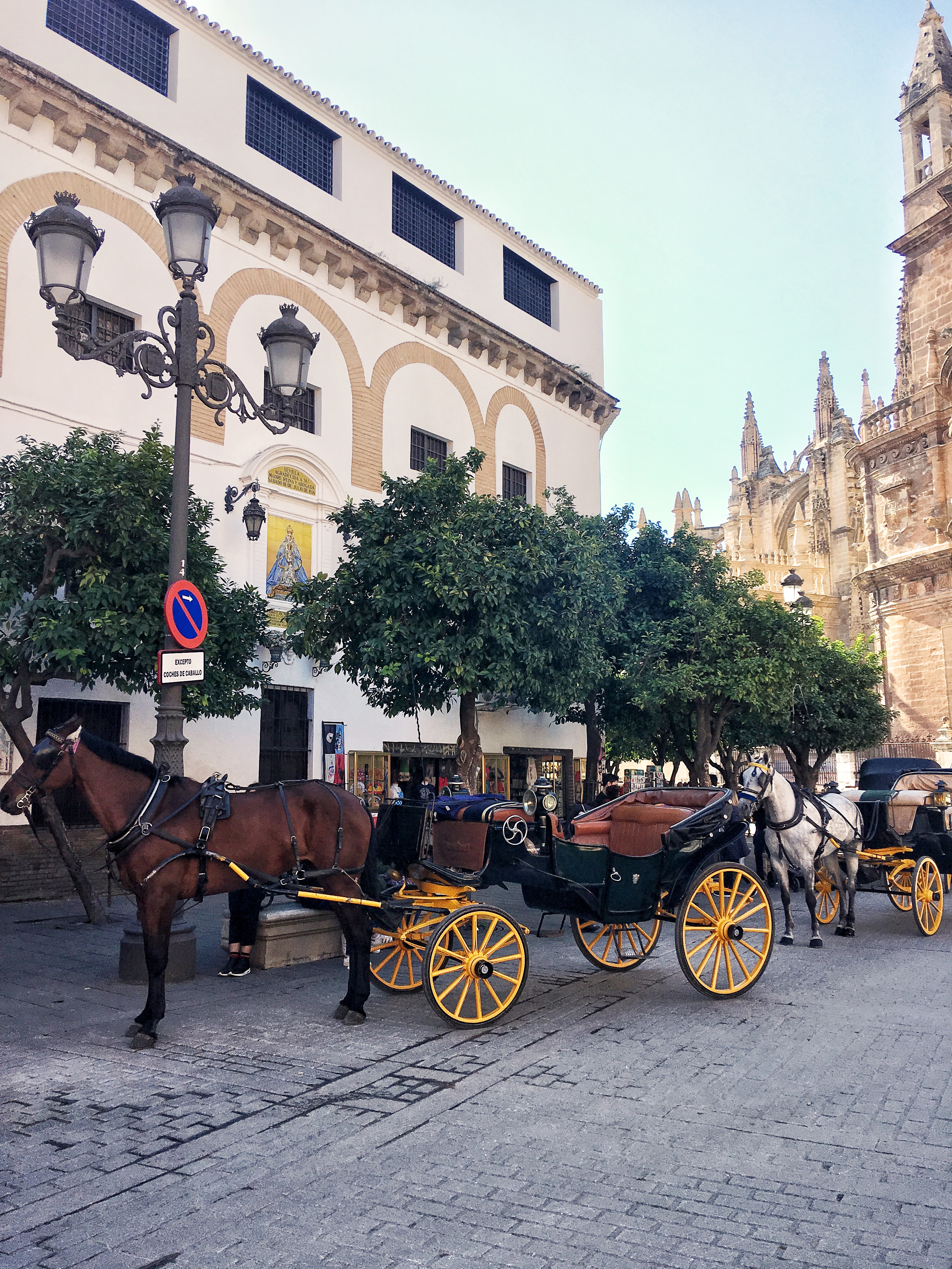 Horse carriages in Seville Spain