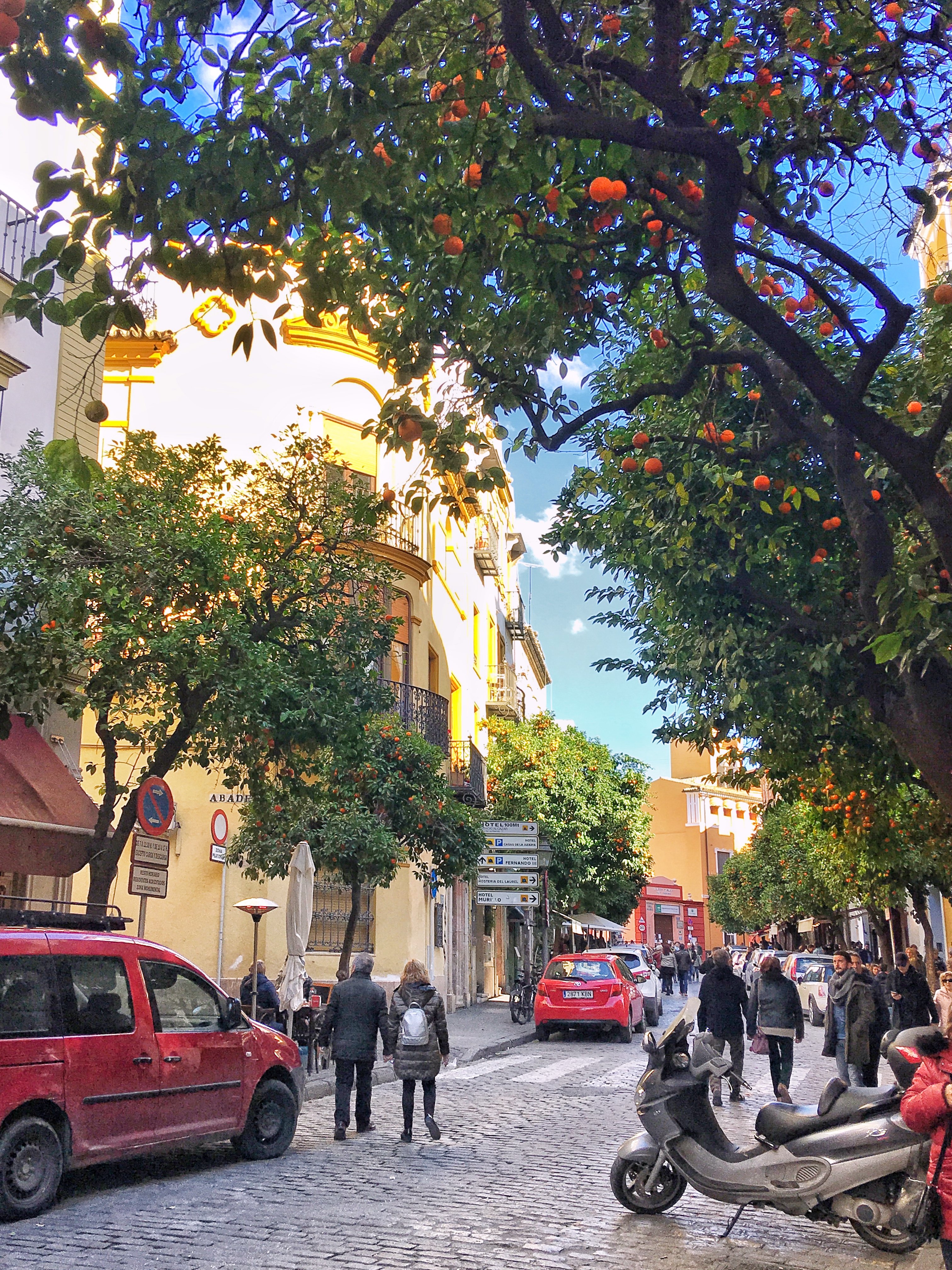 Streets of Santa Cruz Seville Spain