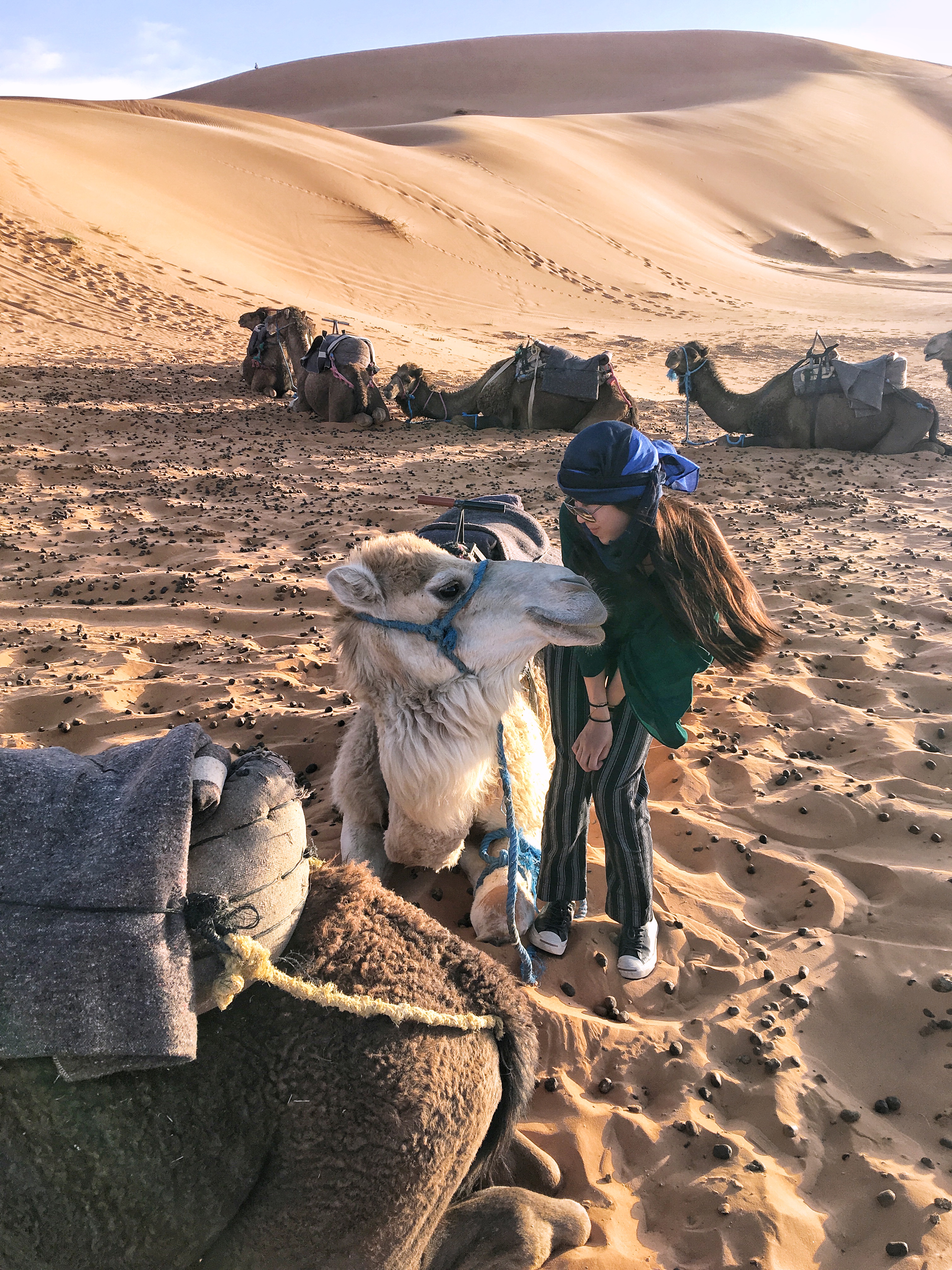 Making friends with camels in Sahara