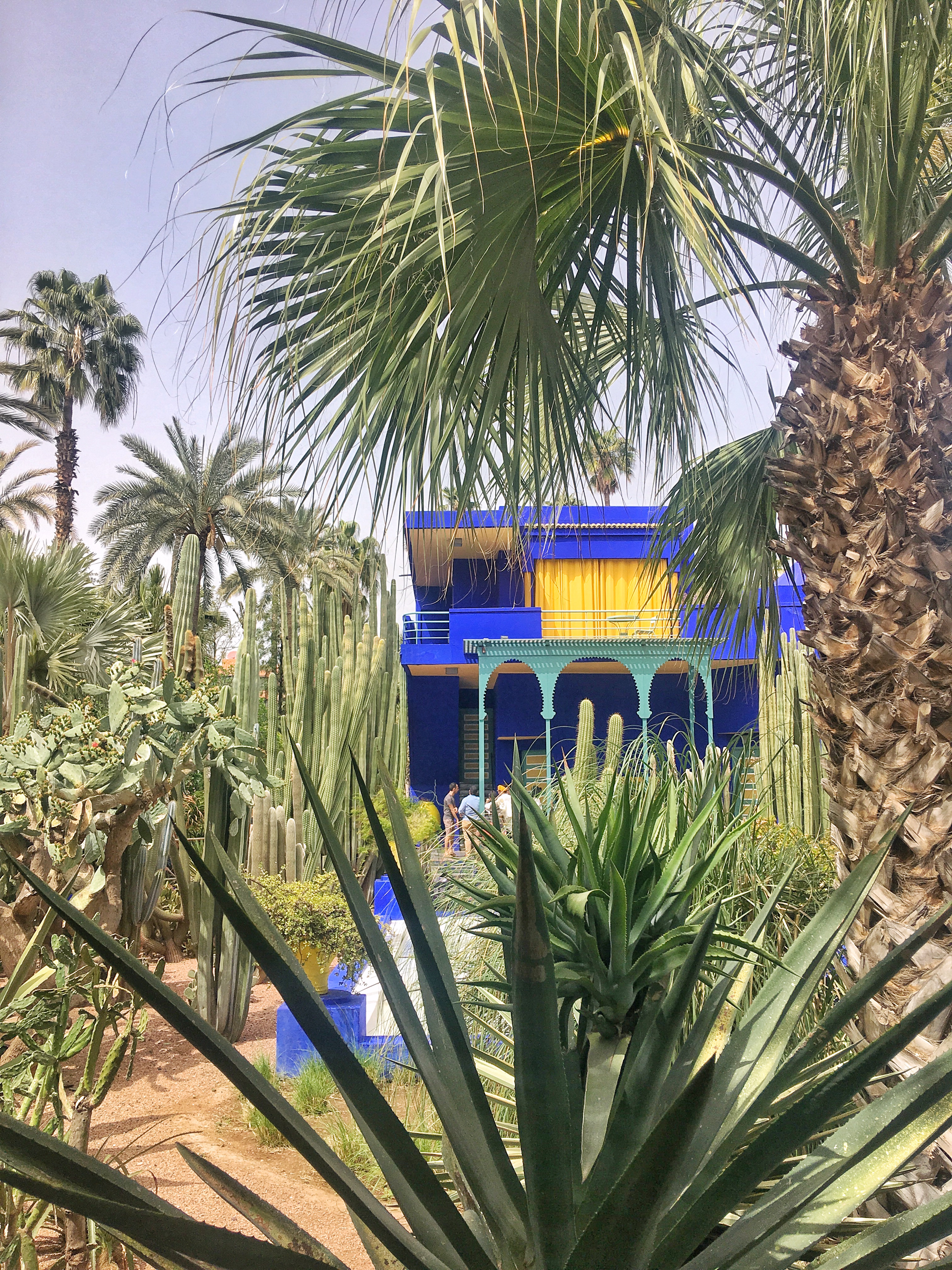 Jardin Marjorelle in Marrakech
