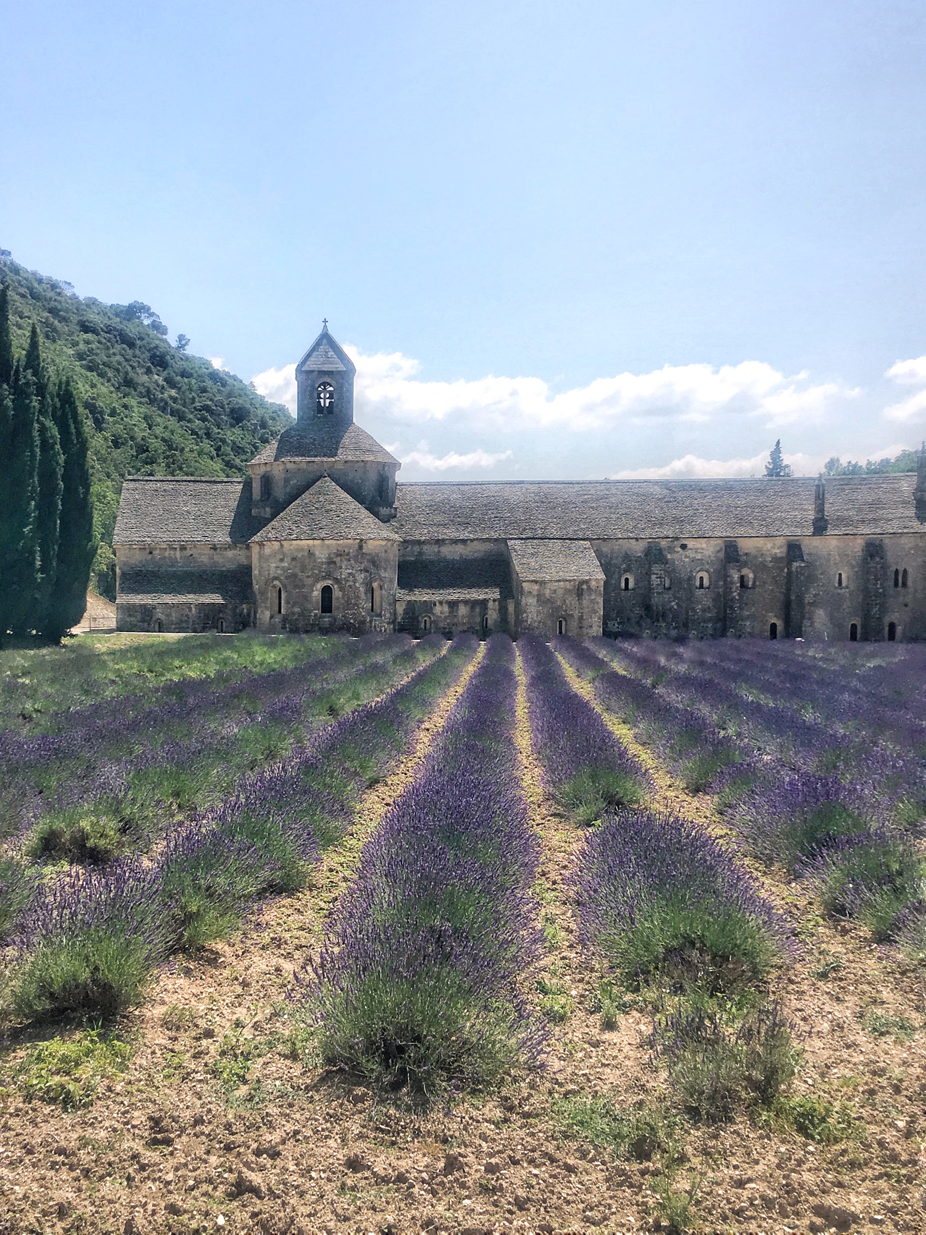 Senanque Abbey in Provence