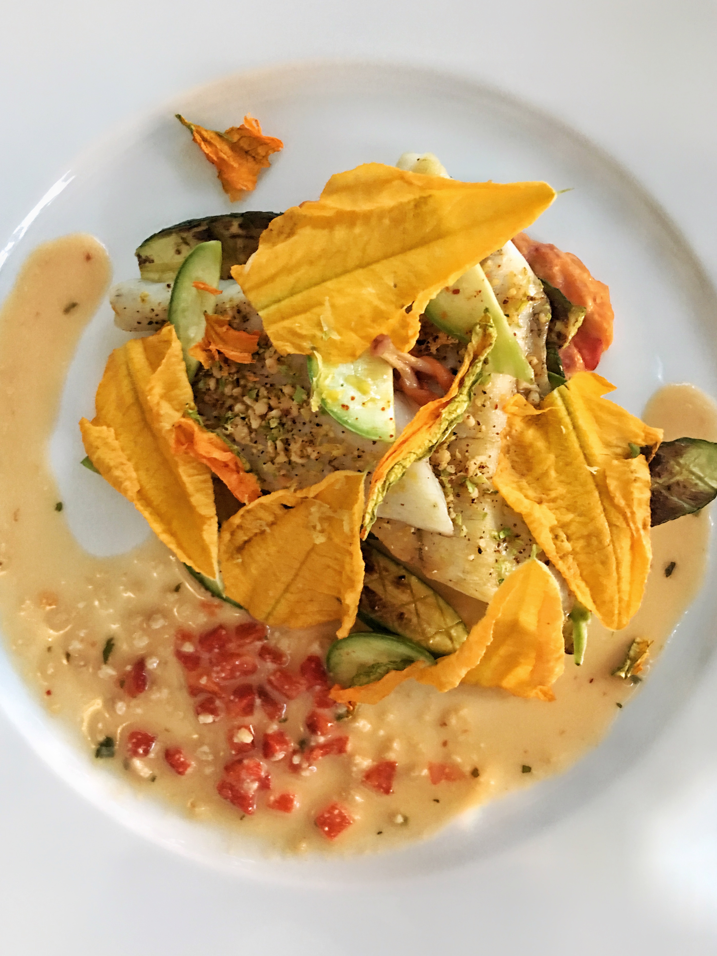 Zucchini flower at La Bastide de Moustier