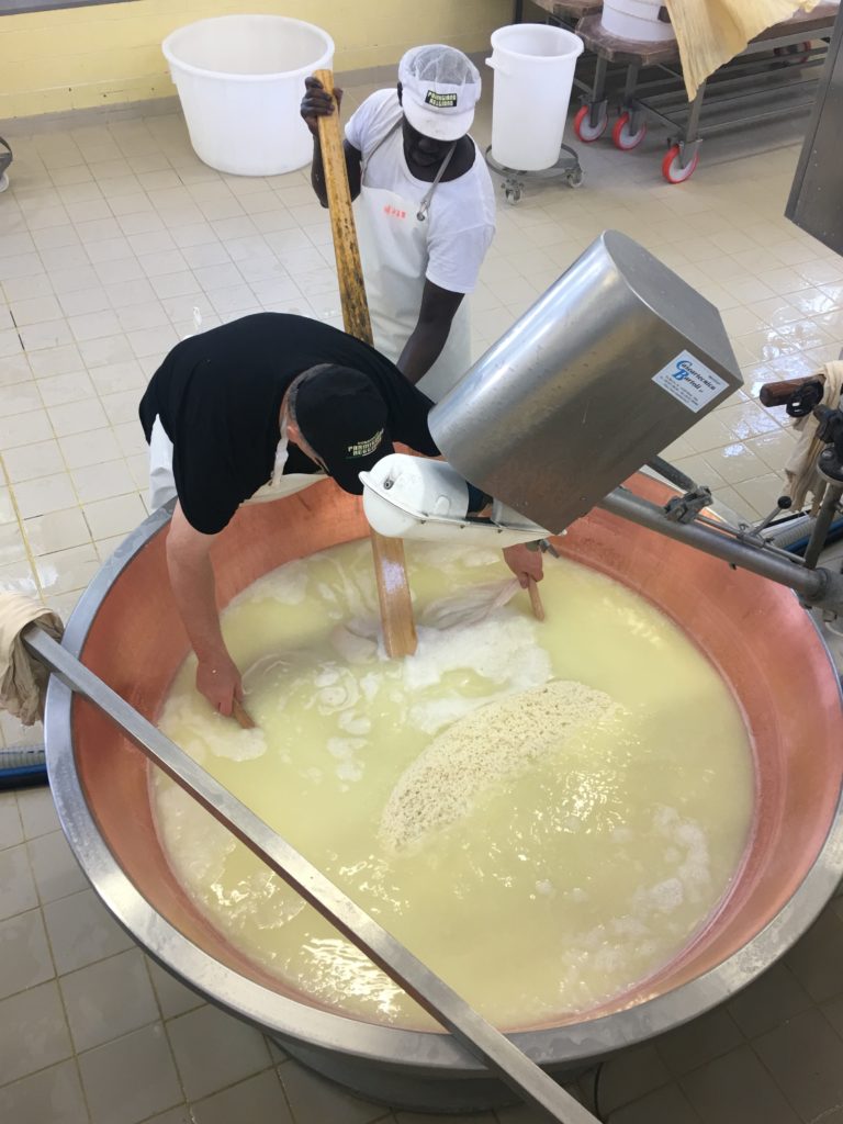 Parmesan cheese making process