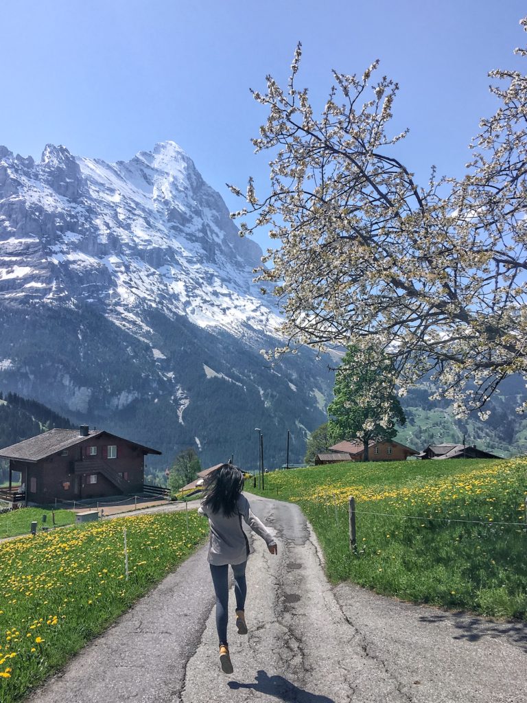 Grindelwald in the spring
