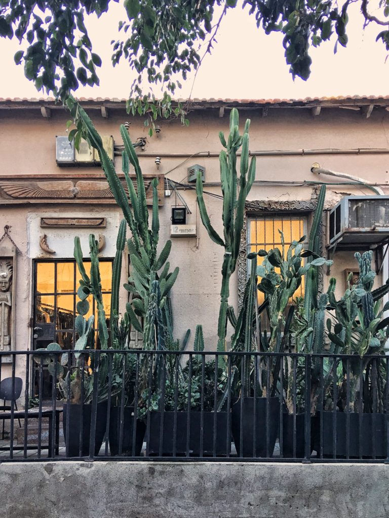 Cute homes in Nede Tzedek