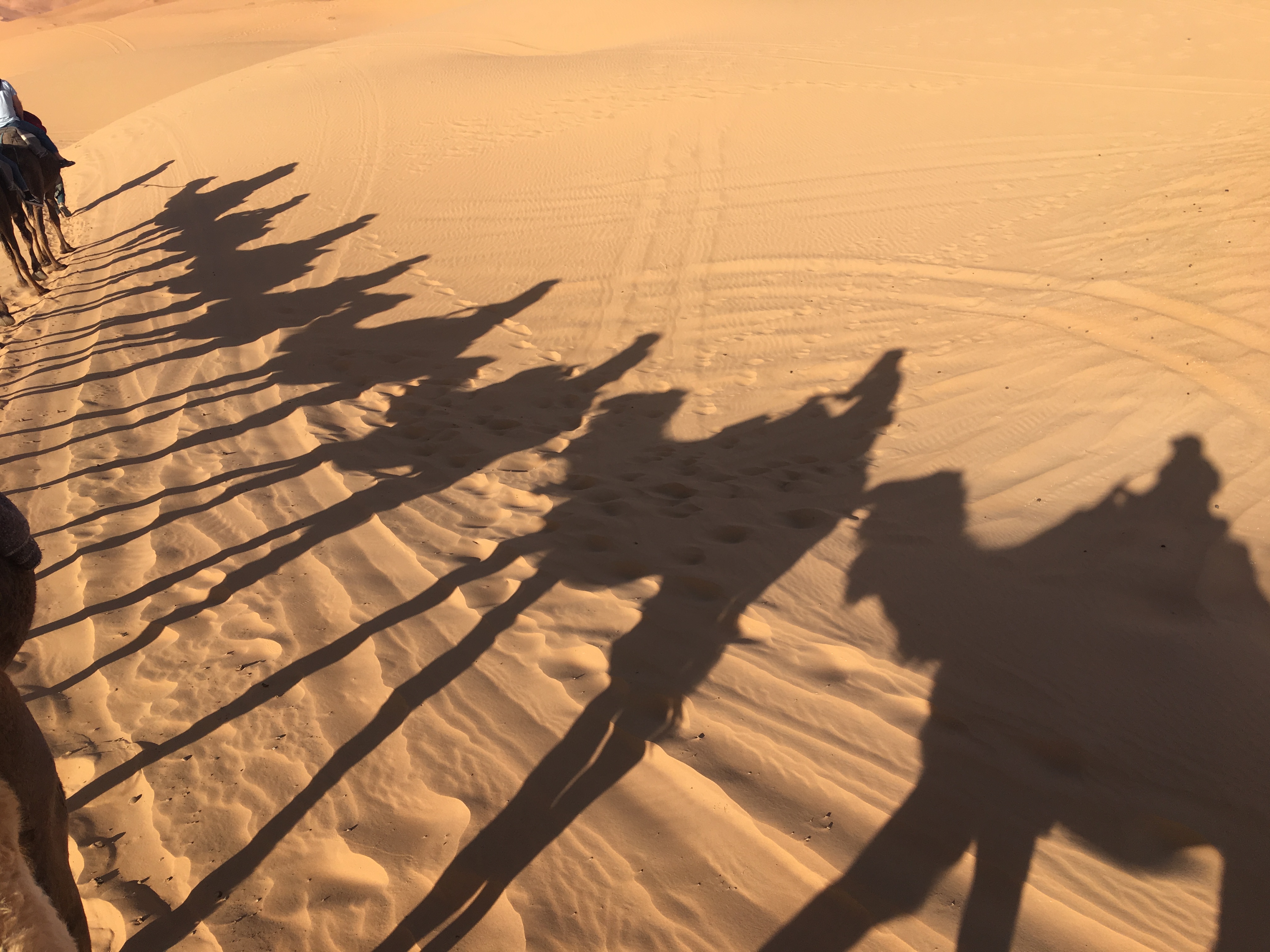 Group in the Sahara Desert