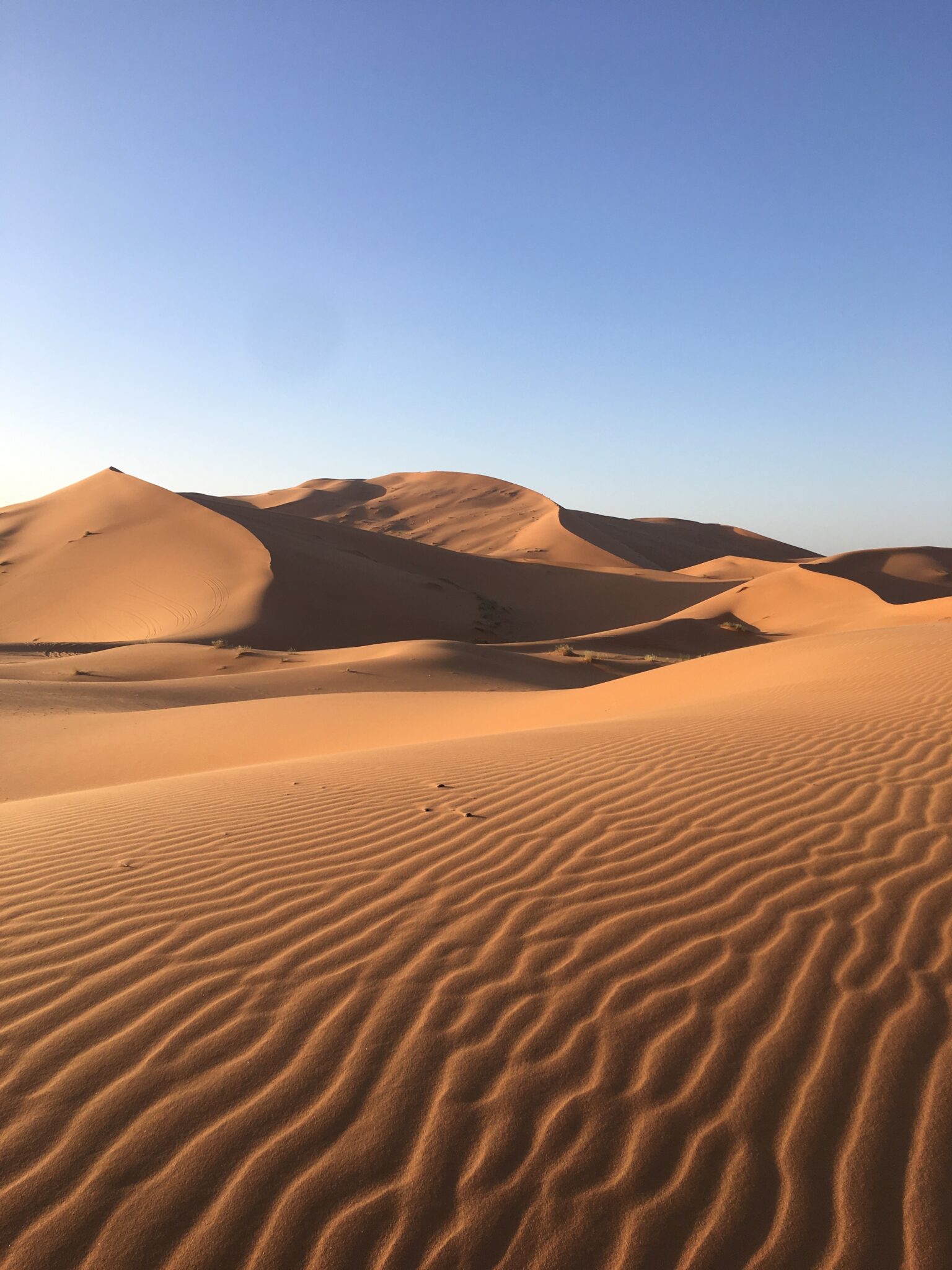 A Guide to Visiting the Sahara Desert - THOUGHTFUL TRAVELING