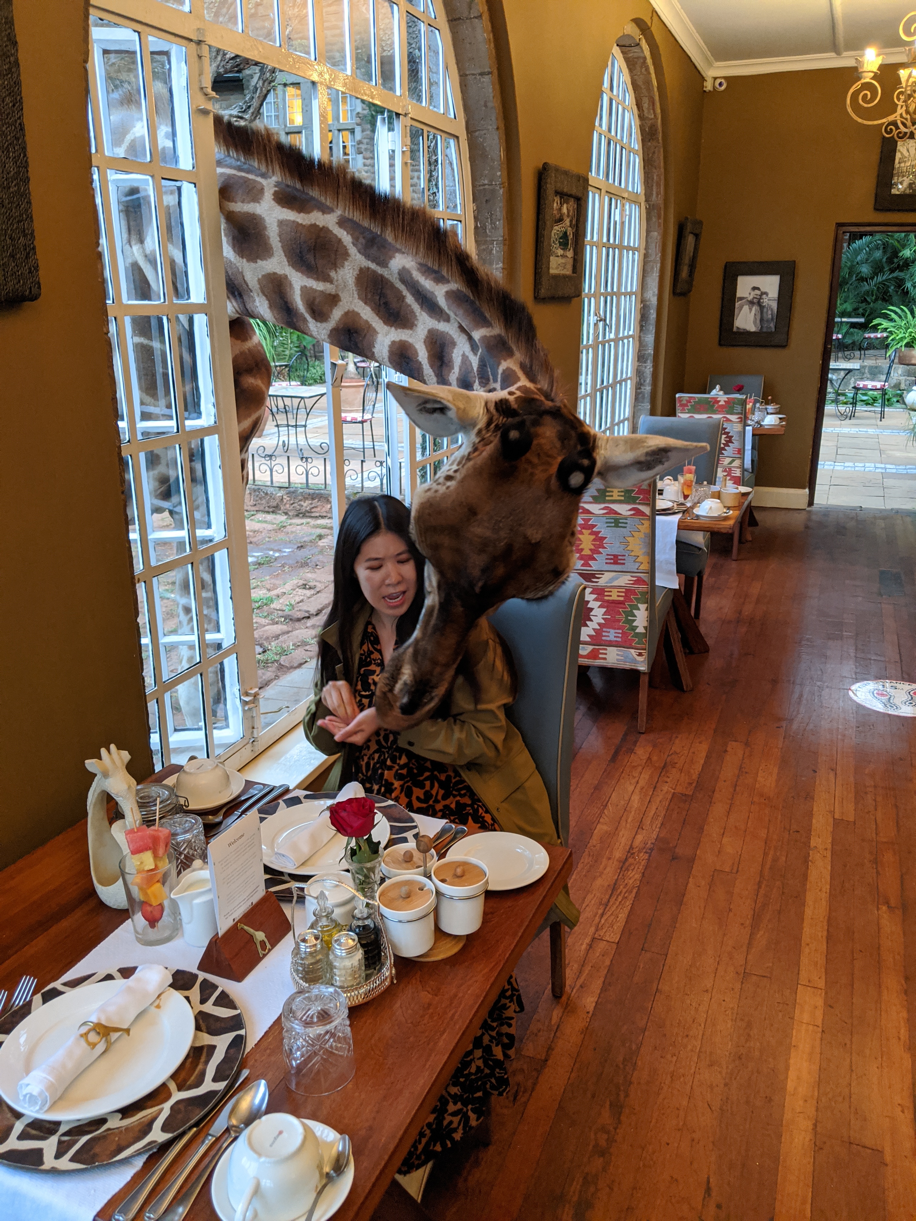 Hungry giraffes at Giraffe Manor