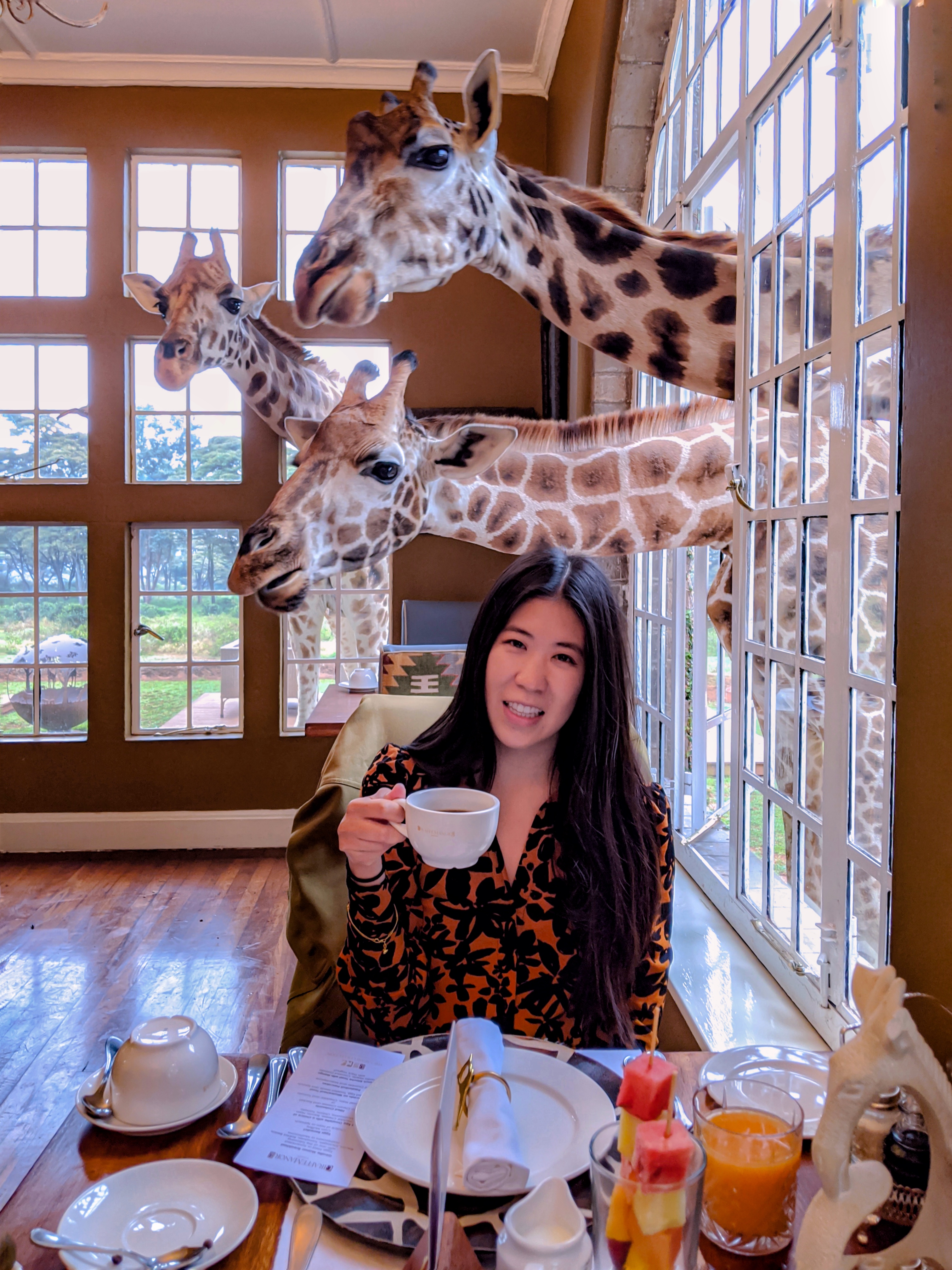 Breakfast with giraffes at Giraffe Manor