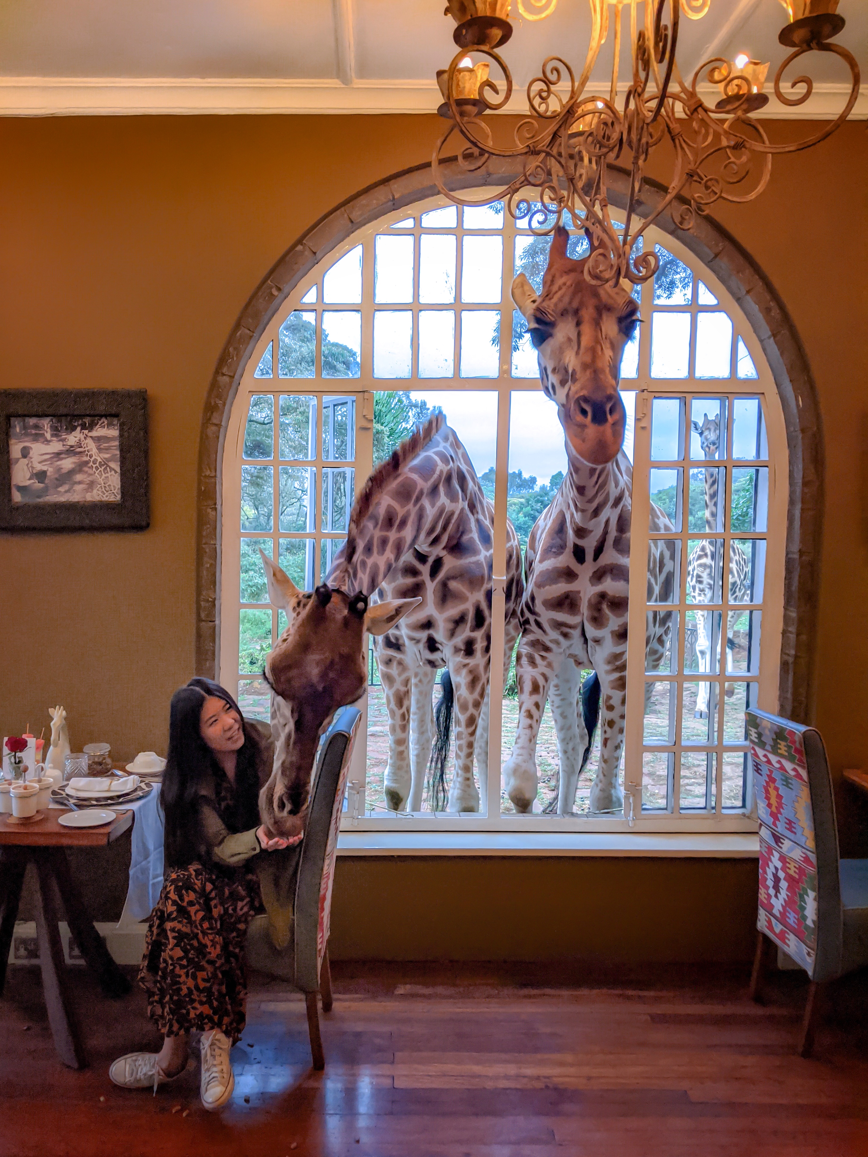 Giraffe Manor breakfast
