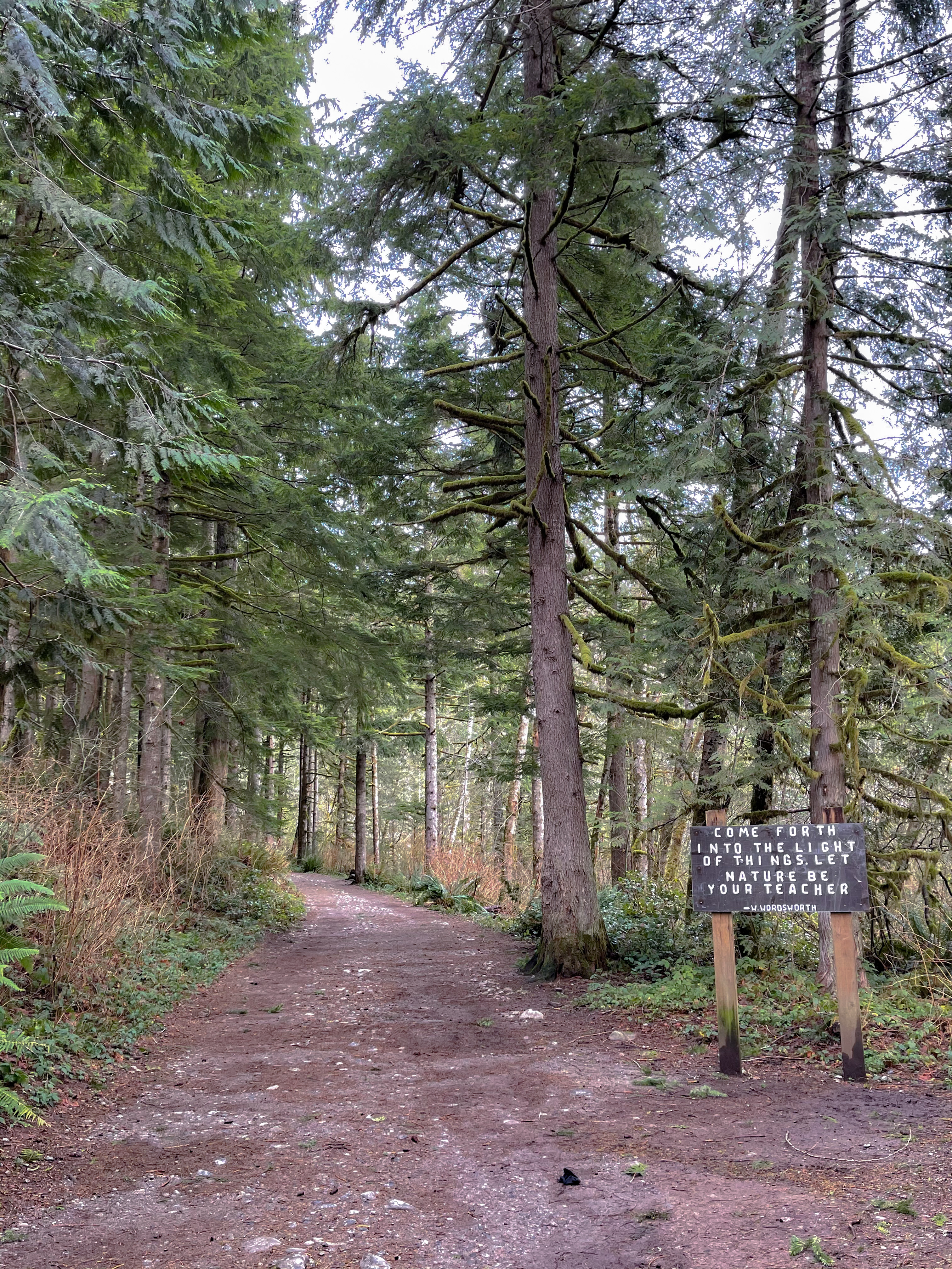 Beginning of Wallace Falls hike