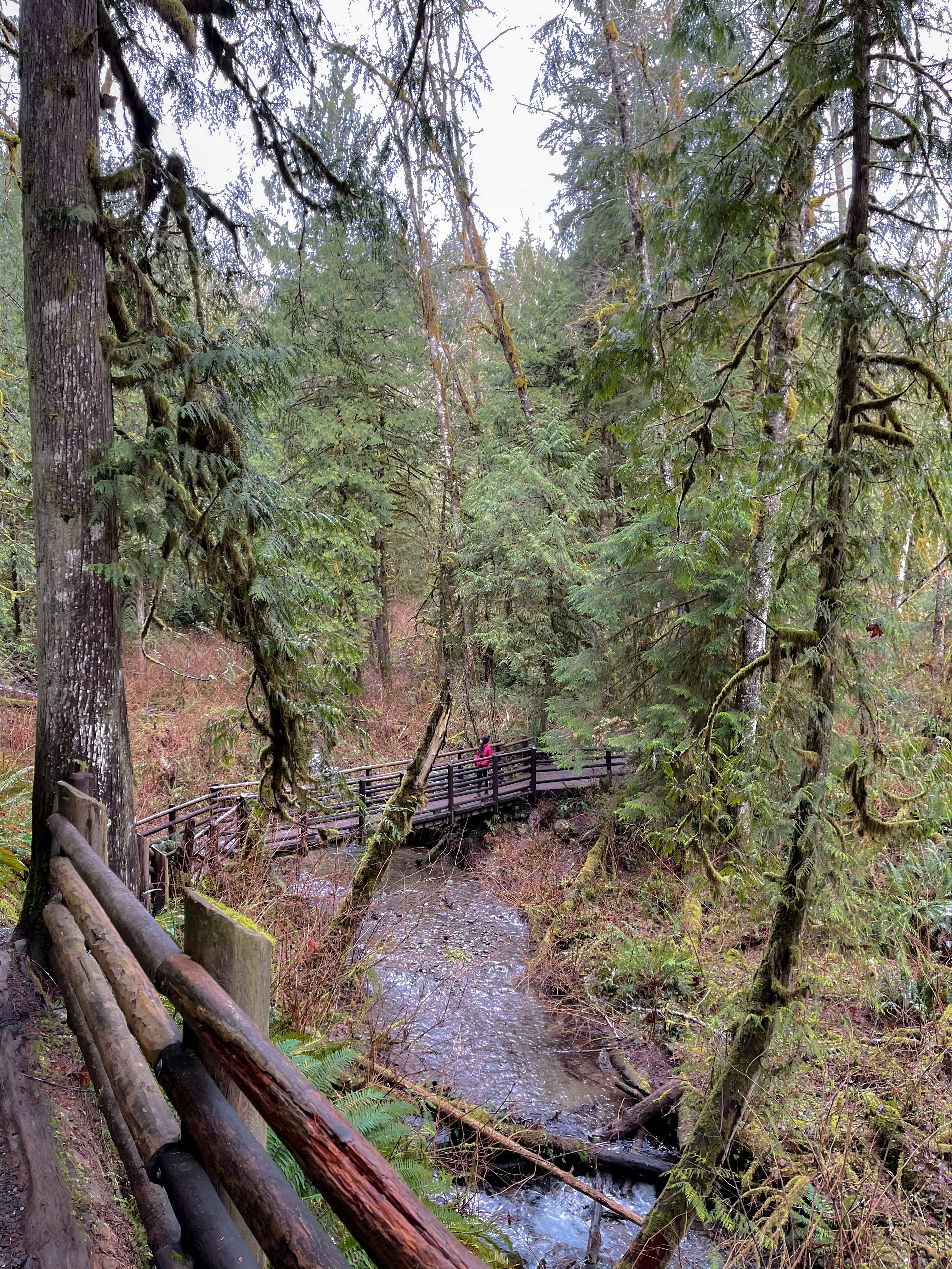 Wooden bridge Wallace Falls