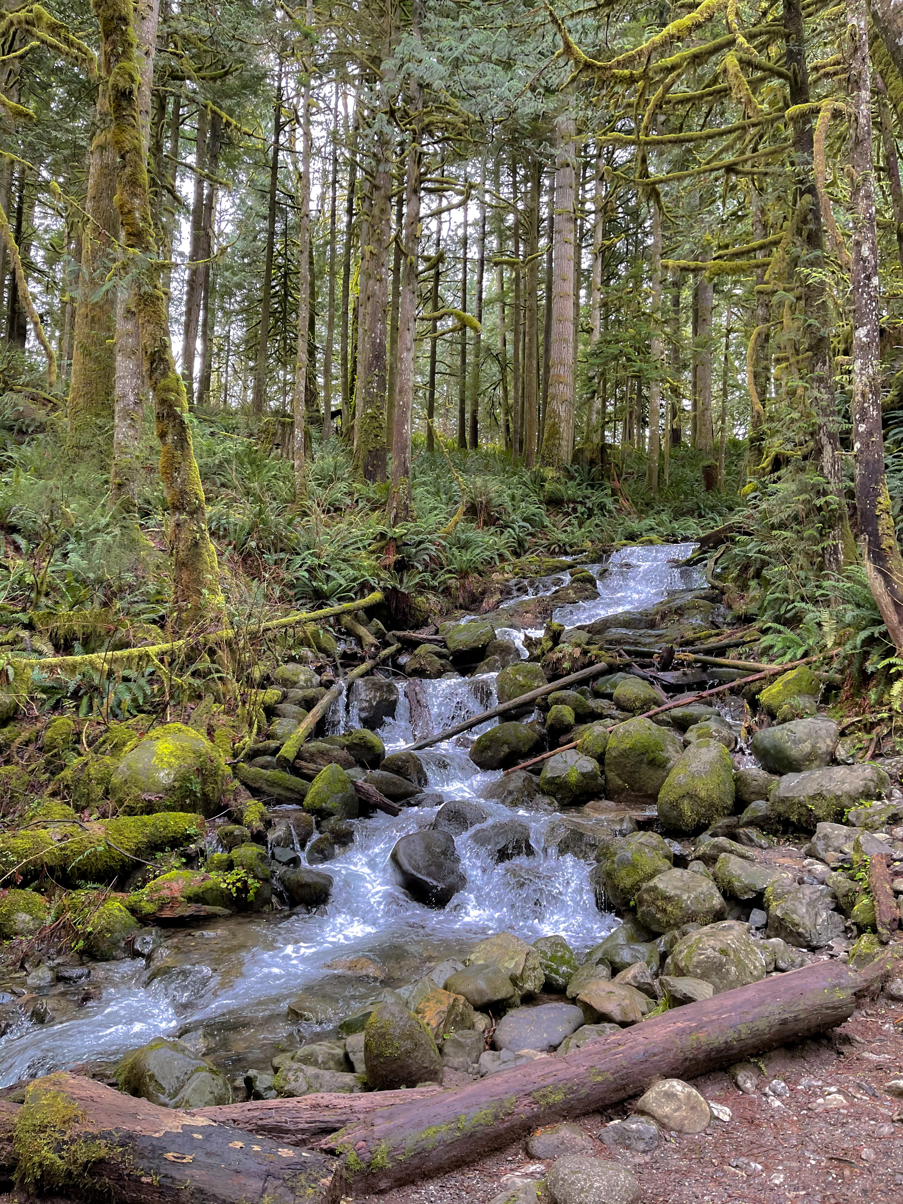 Small Falls Interpretive Traill