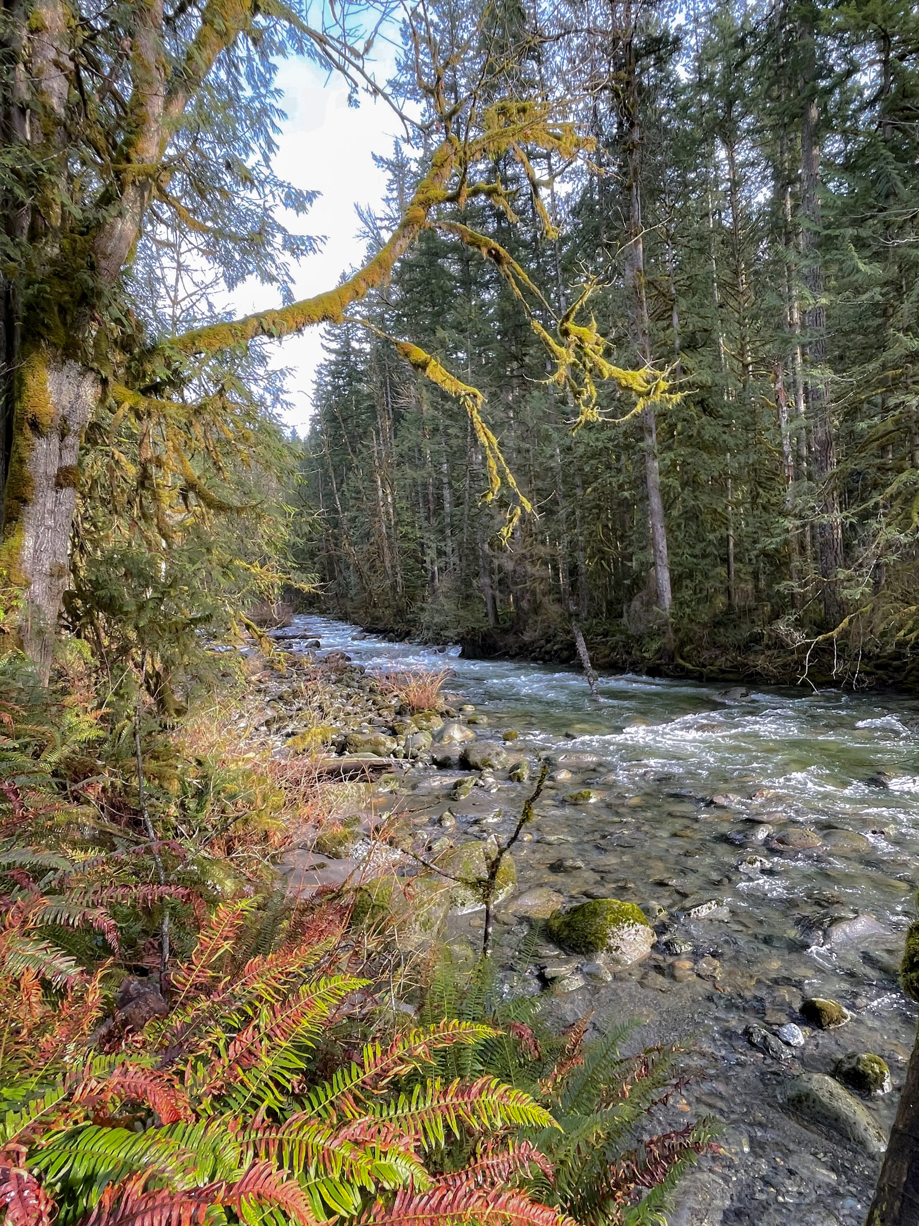 Wallace River