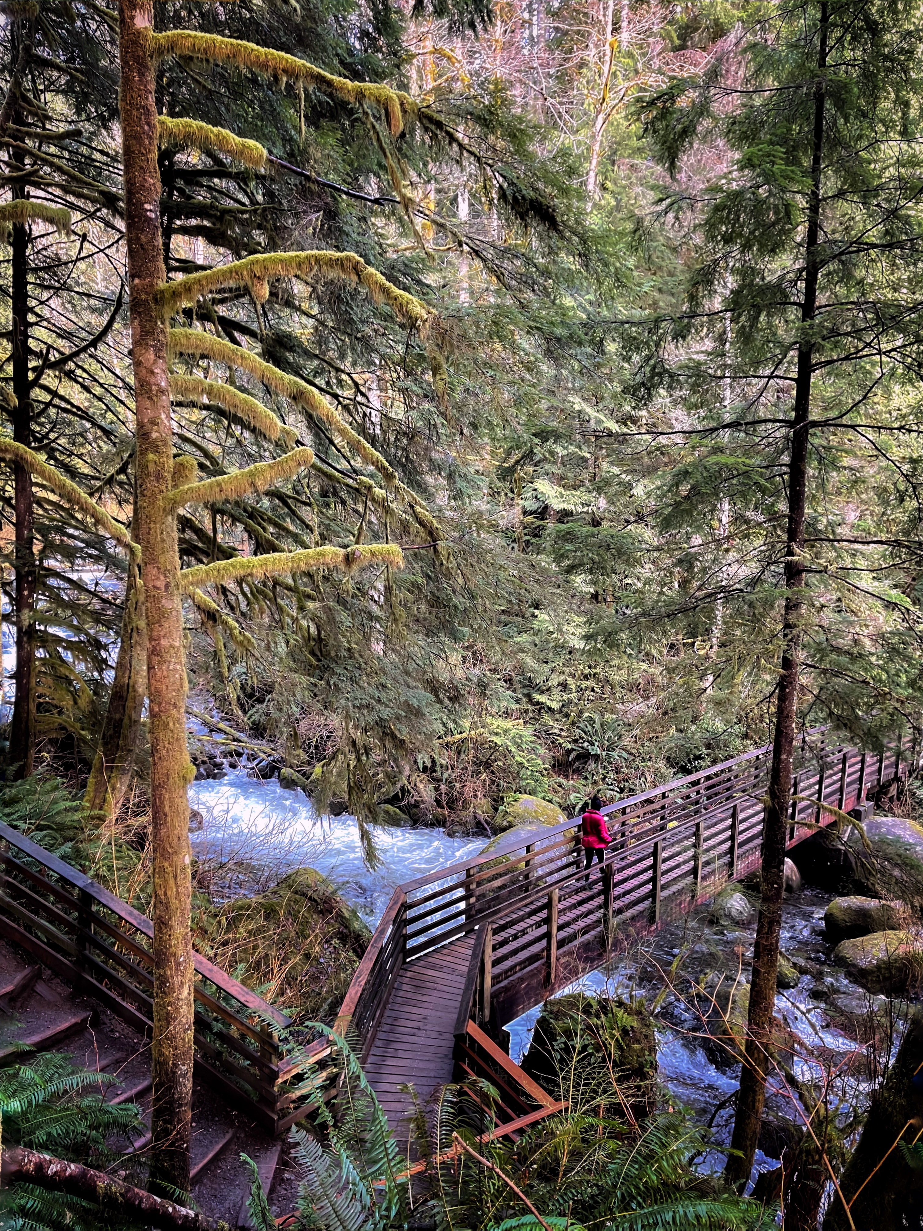 Wallace Falls Hiking Trail in Washington