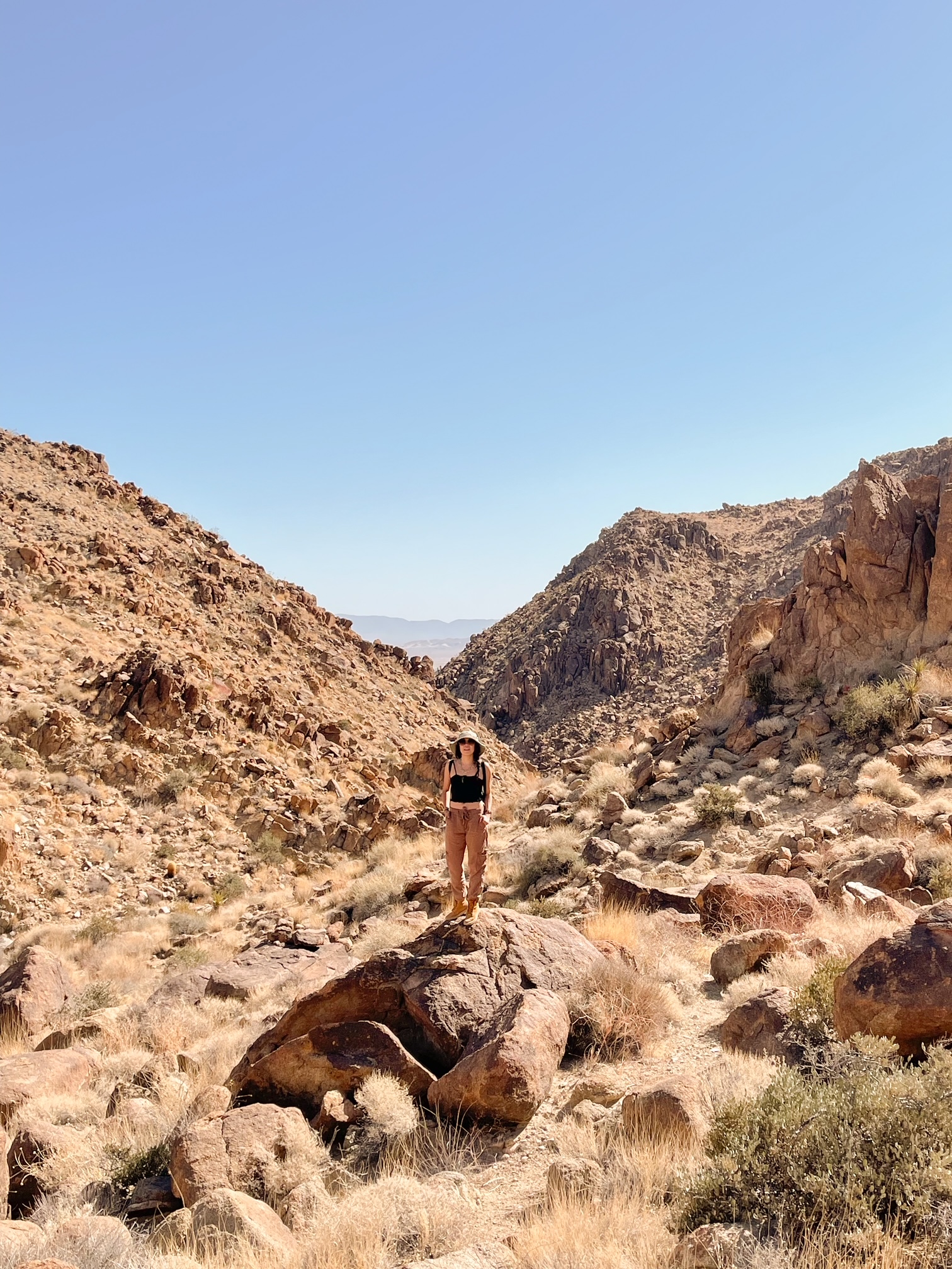 Fortynine Palms Oasis Trail