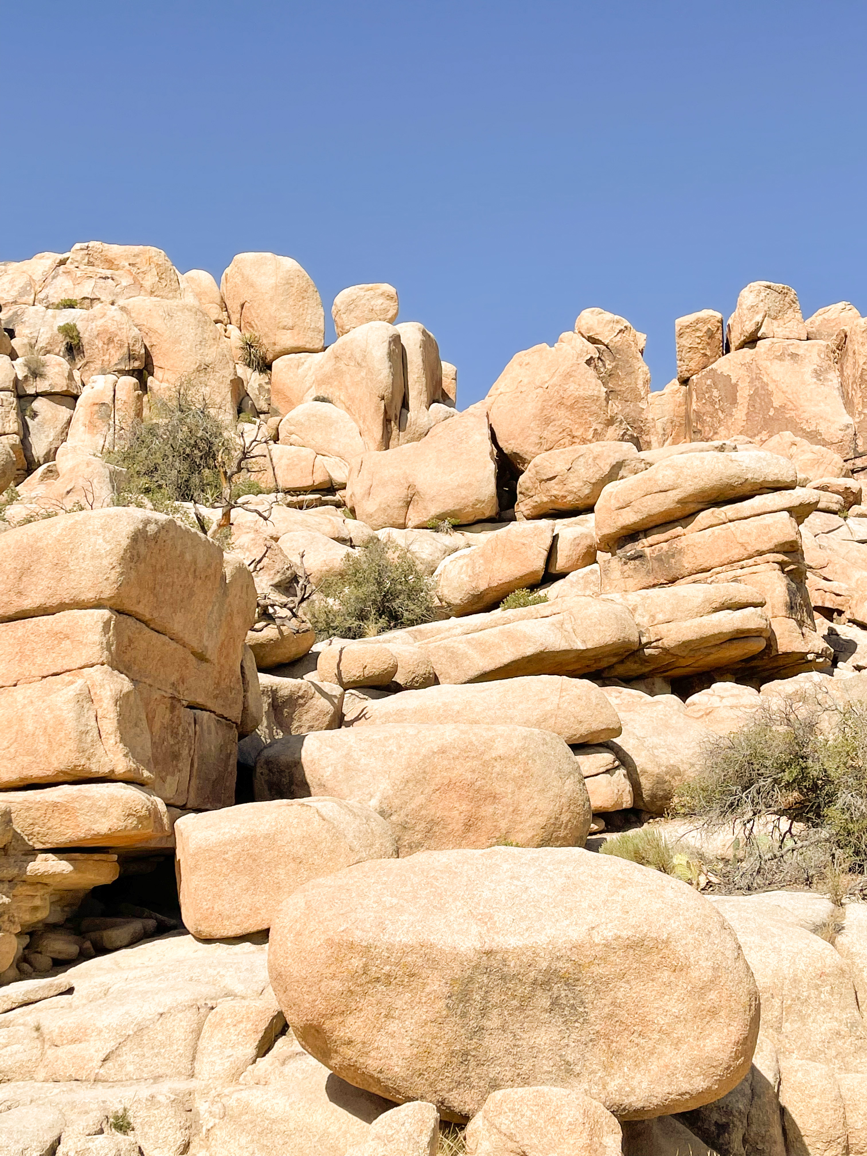 Boulders at Joshua Tree