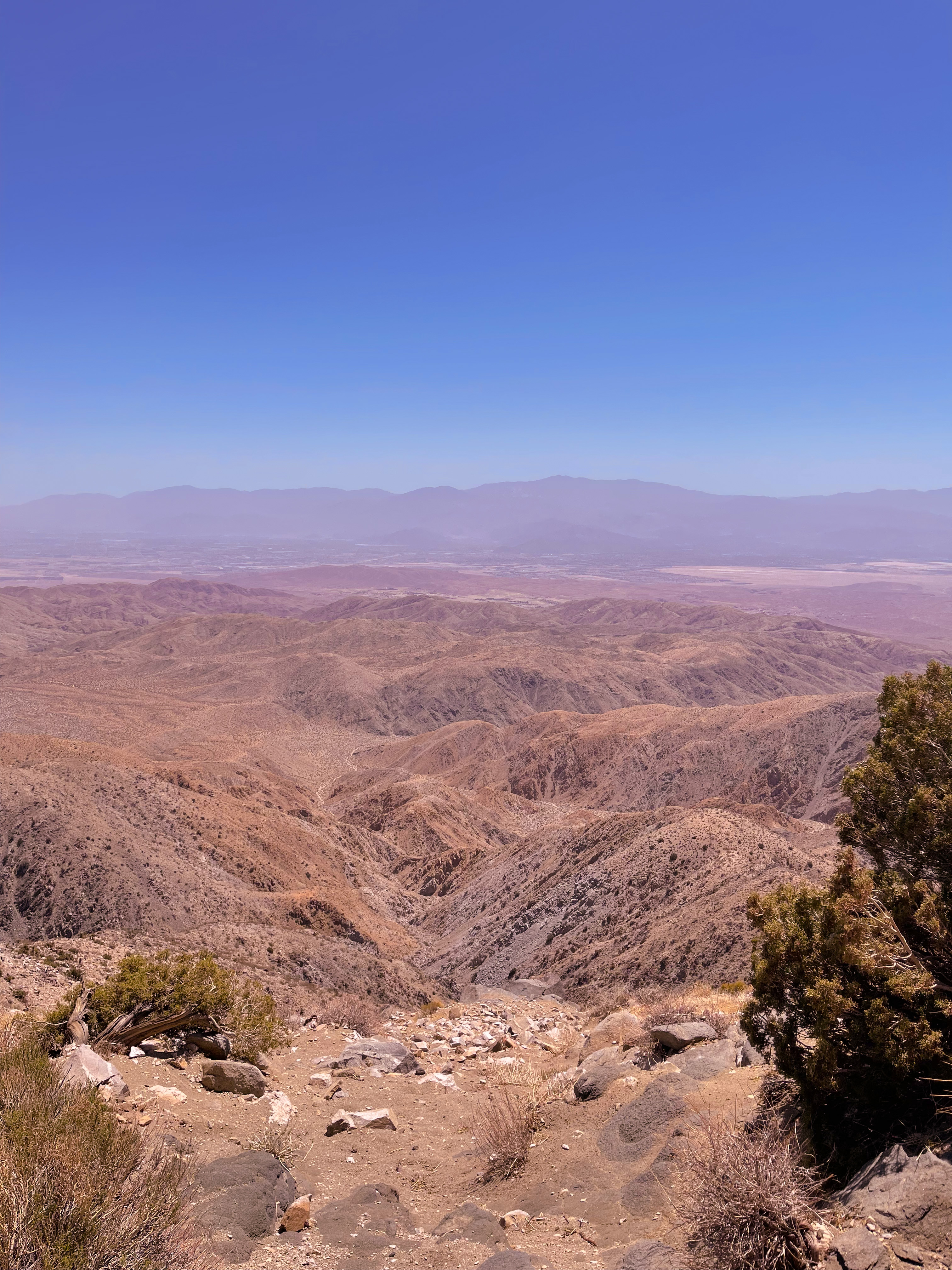 Keys View Joshua Tree