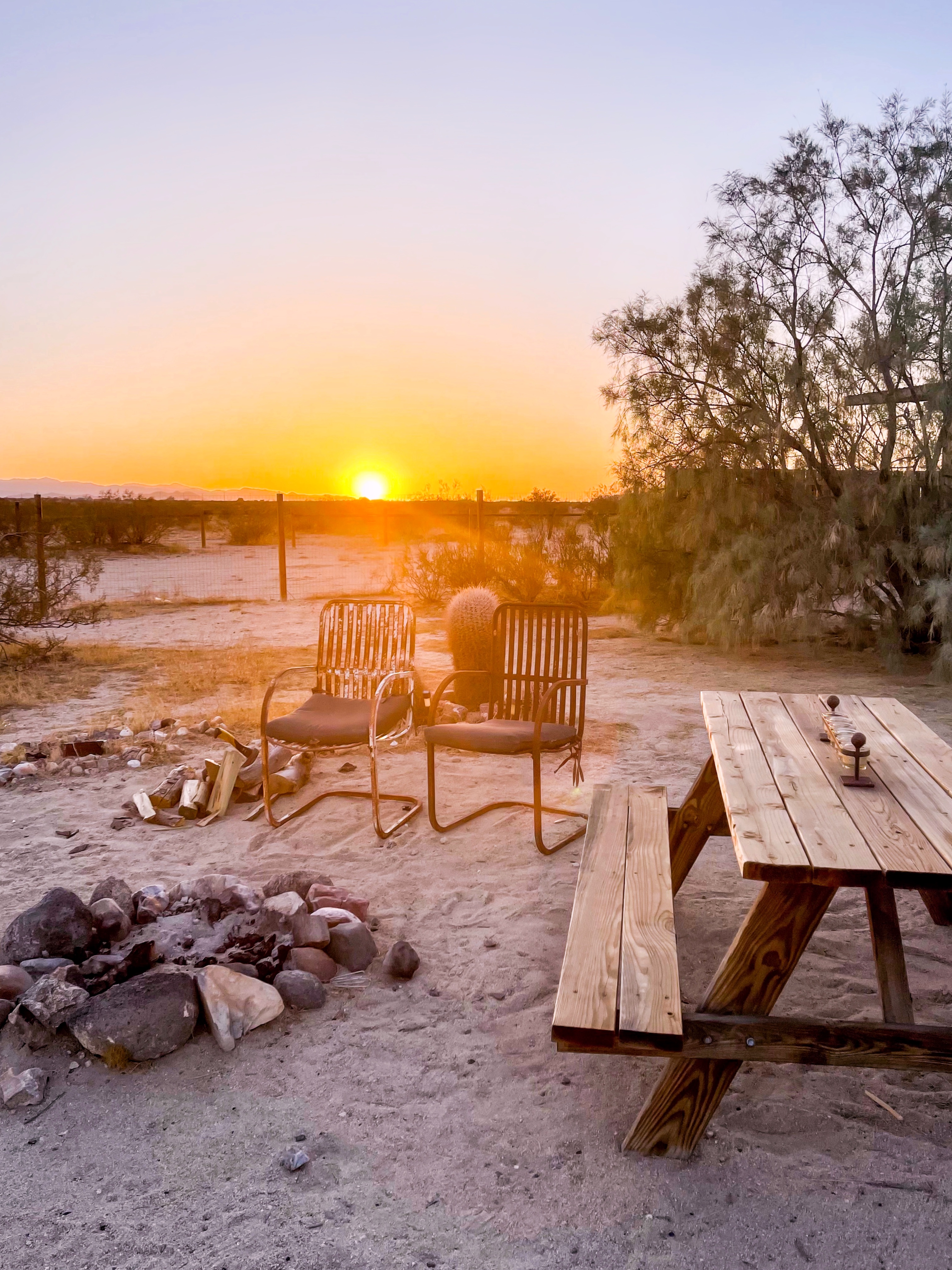 Sunset at Joshua Tree National Park