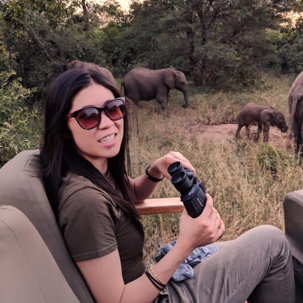 Planning a Safari in Kruger National Park