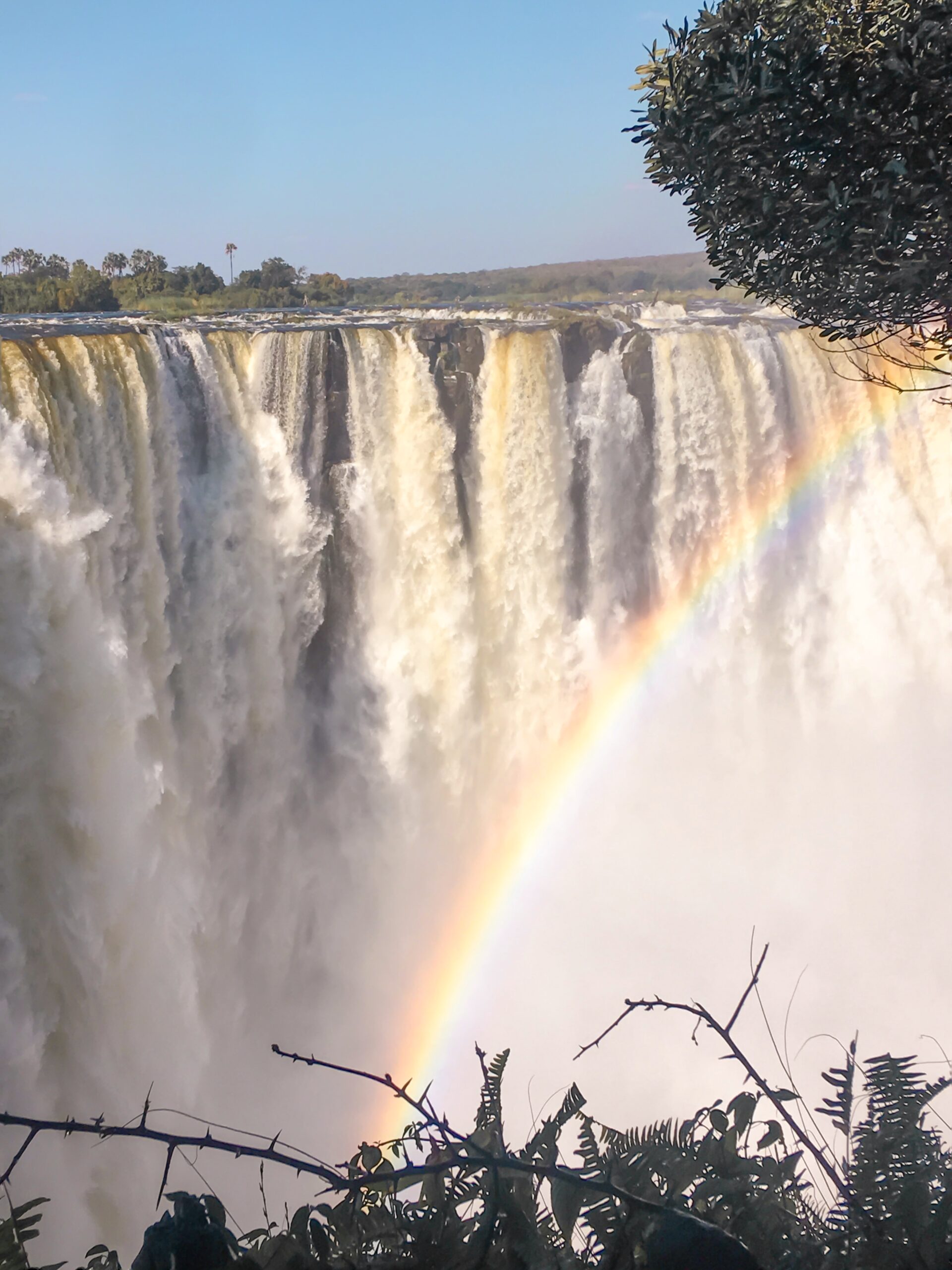 Main Falls Victoria Falls