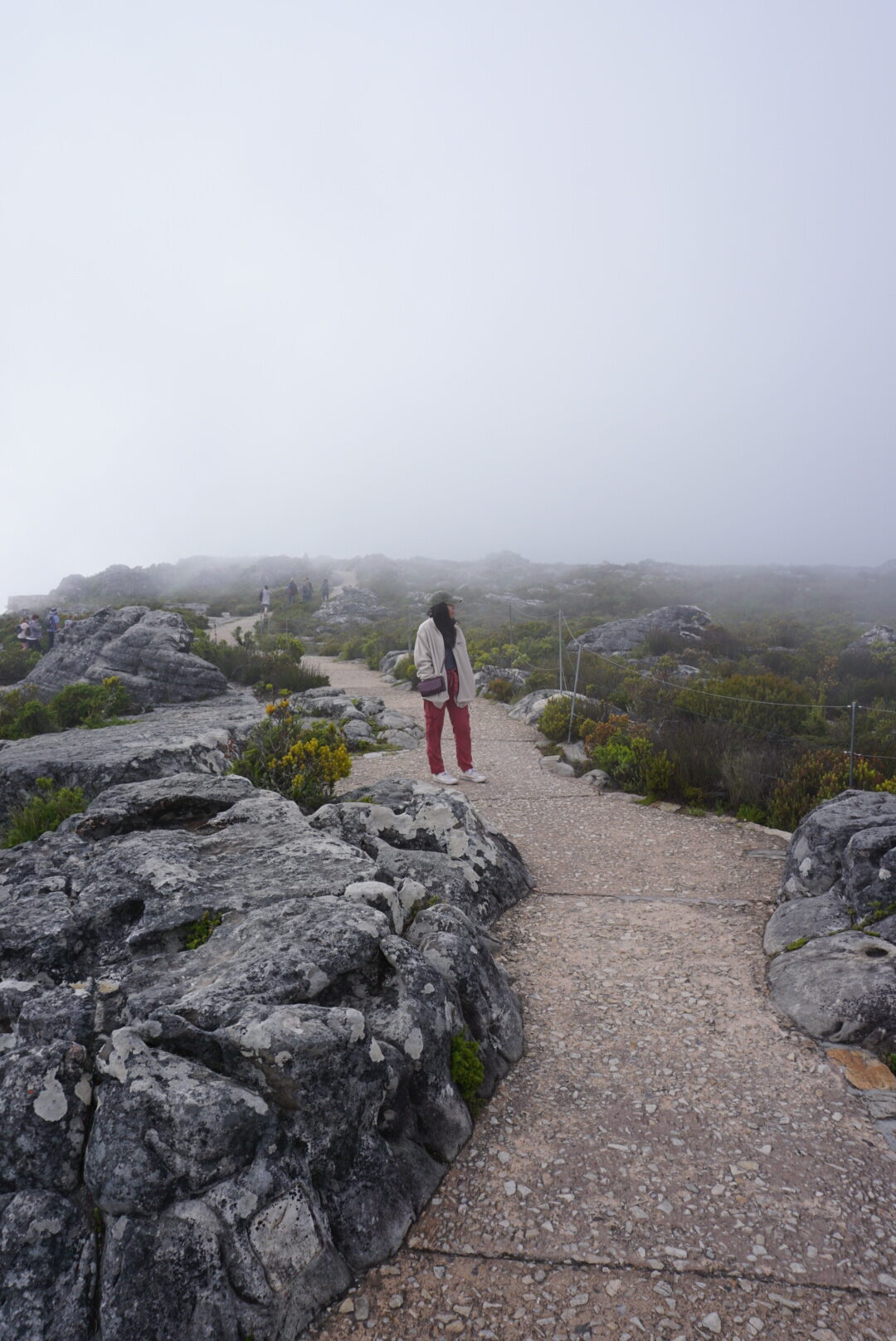 fog at table mountain