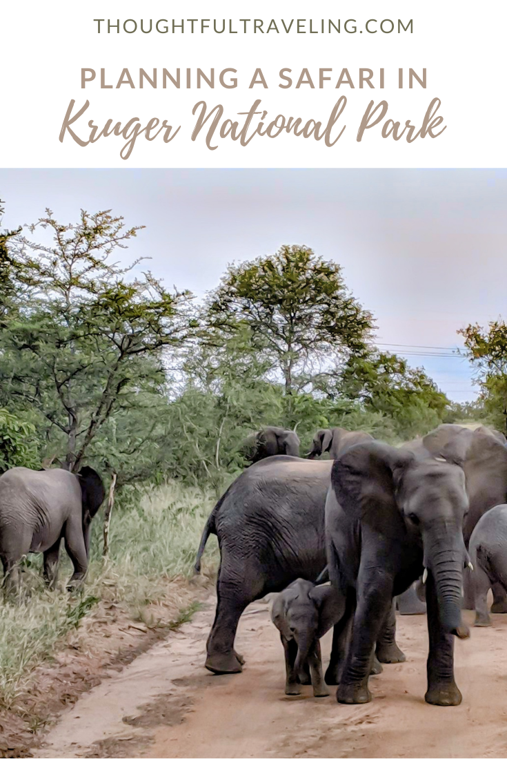planning a safari in Kruger 